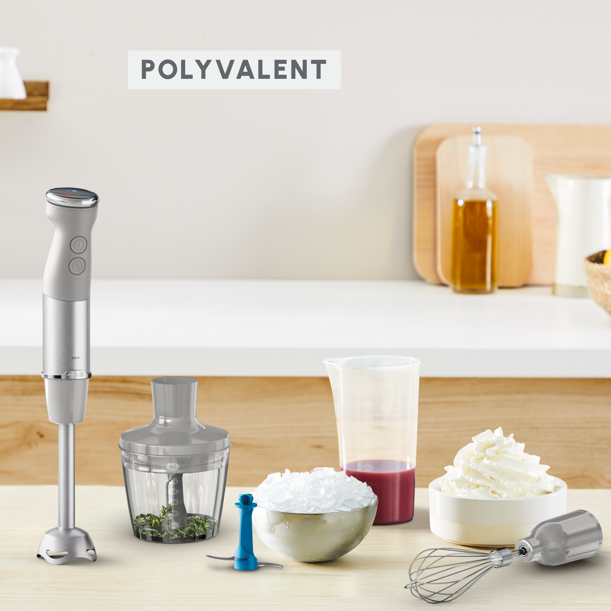 Quickchef+, Pied mixeur, lames powelix, 20 vitesses, 3 Accessoires glace pilée mini hachoir fouet, 1000 W, Gris et métal