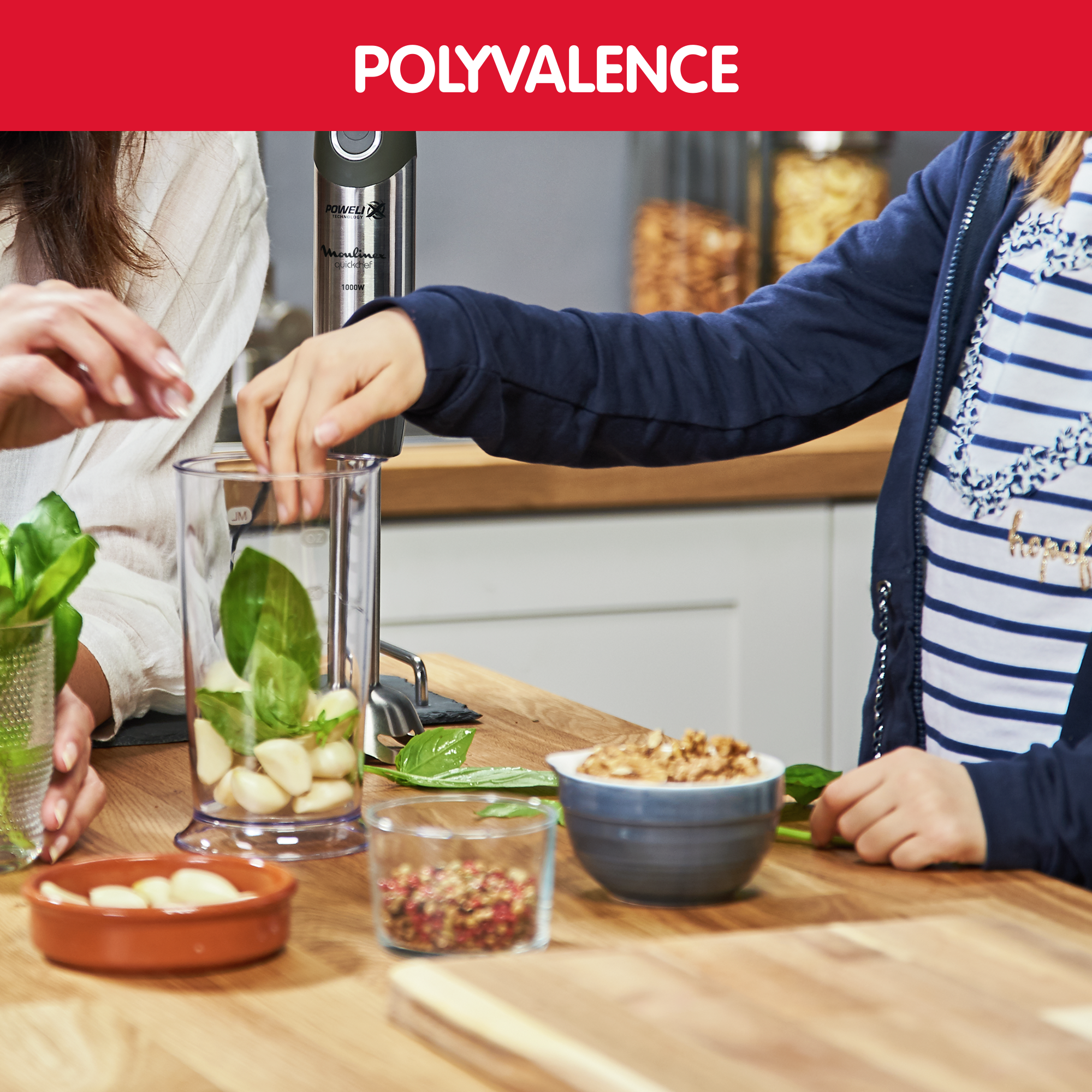 Quickchef 3 en 1, Pied mixeur, Lames powelix, 10 vitesses, Accessoires mini hachoir et fouet, Noir et métal