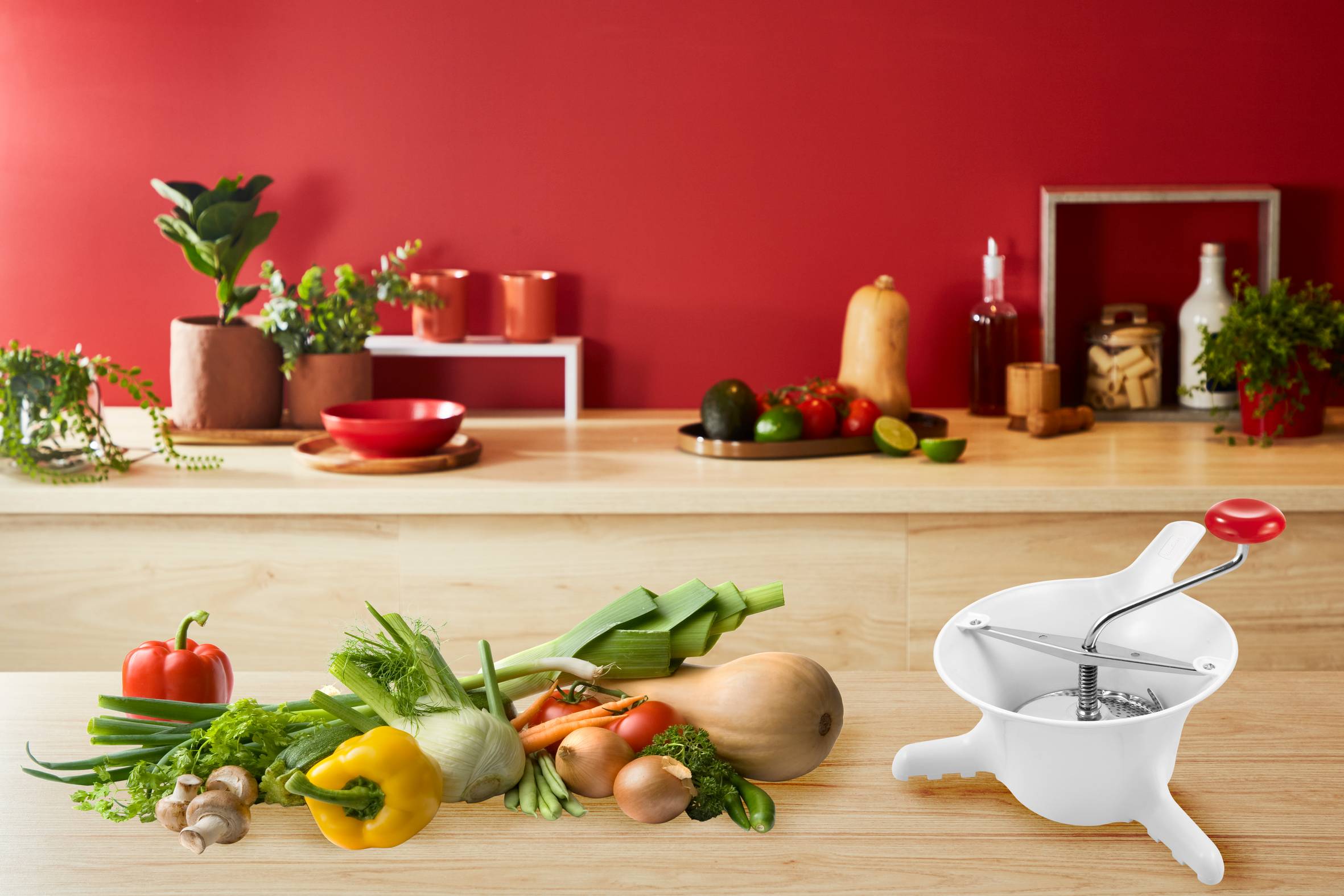 CLASSIC Moulin à légumes Plastique Petit Modèle