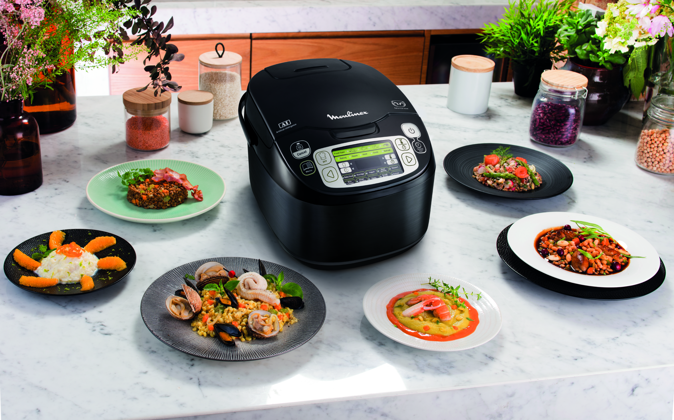 MULTICUISEUR 43 PROGRAMMES