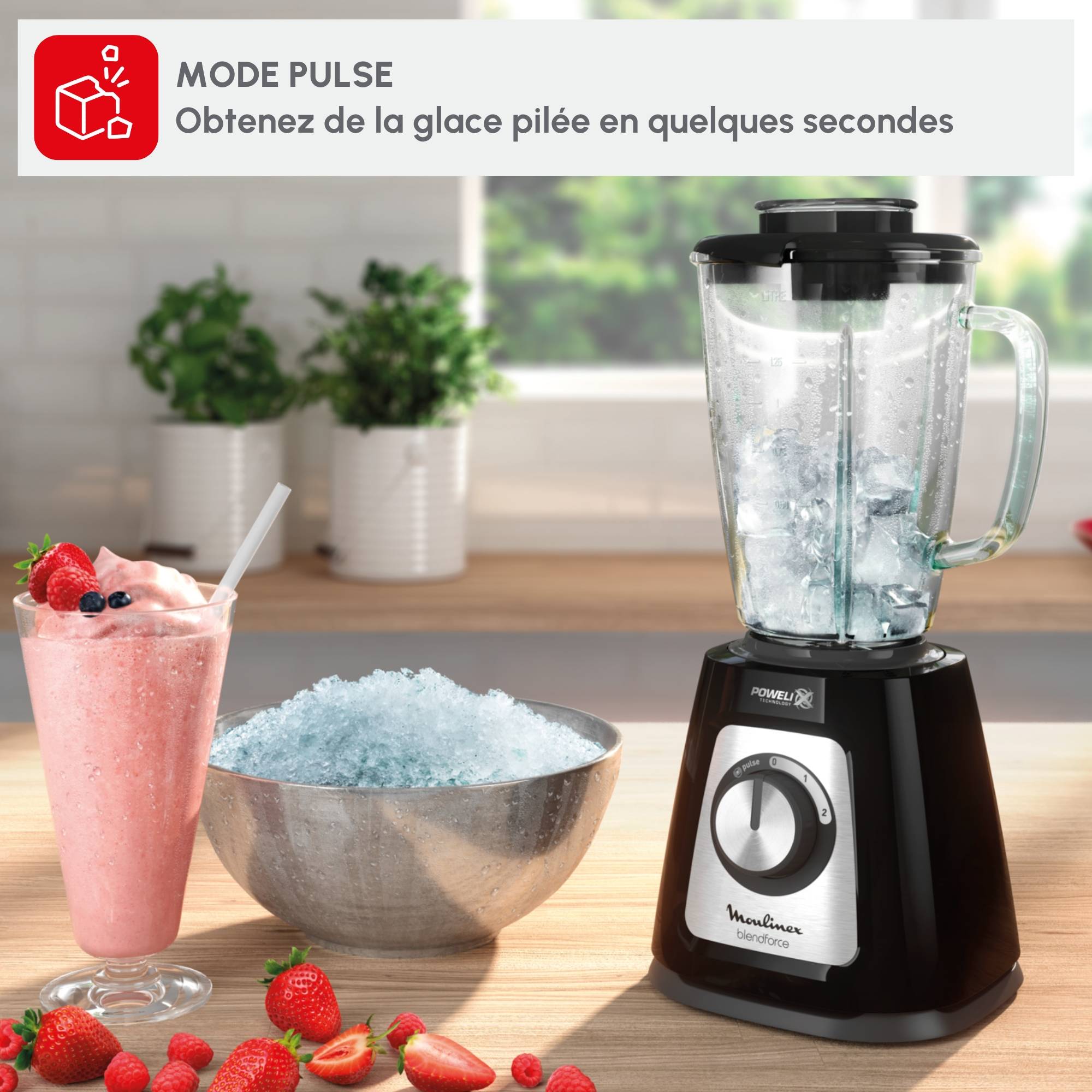 Blendforce, Blender classique, Bol en verre de 1,75 L, 800W, Noir