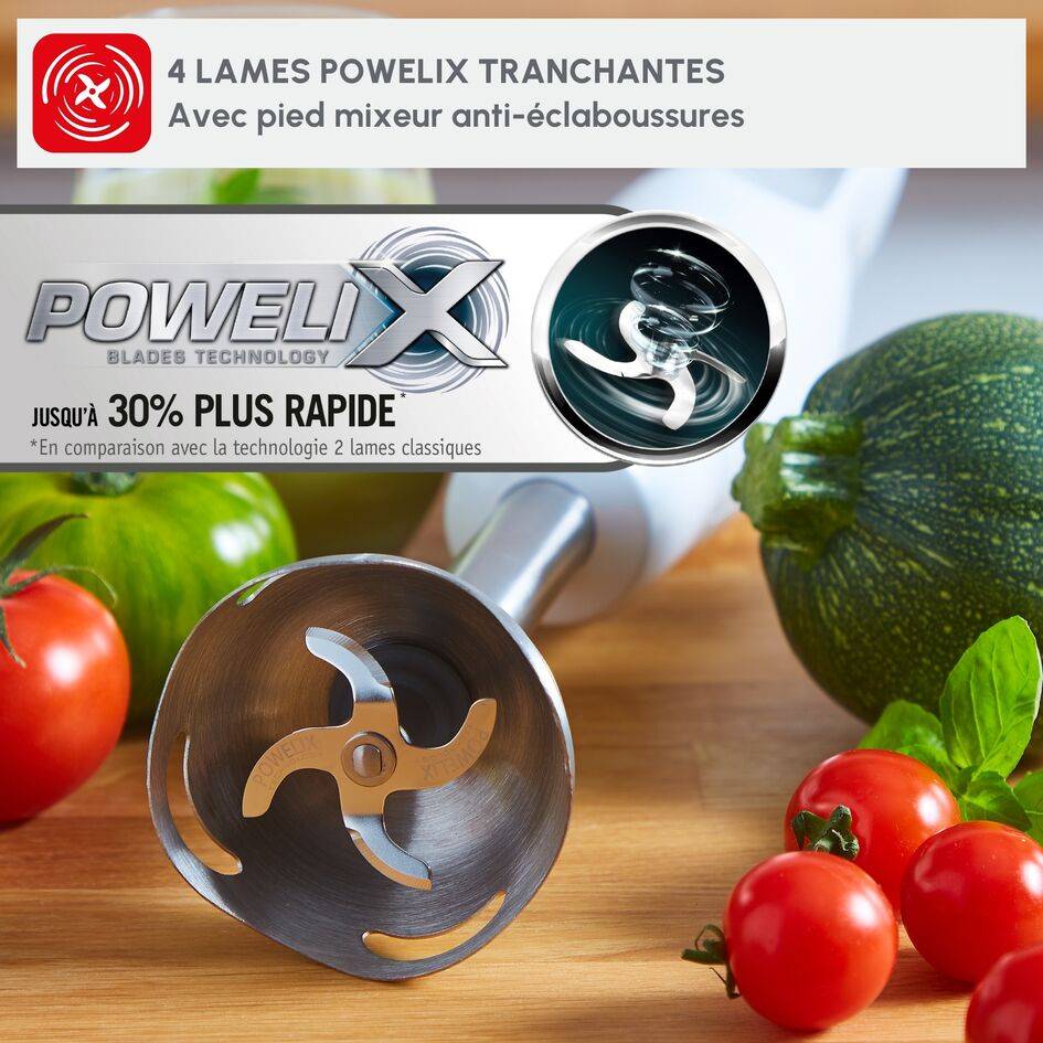 Daily chef, Pied mixeur, 4 lames inox, 2 vitesses, 600 W, Blanc