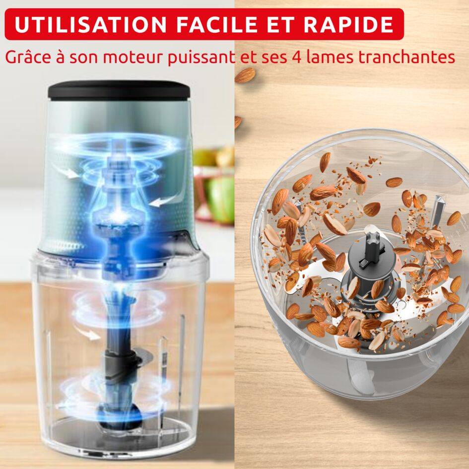 Easy Press, Hachoir électrique, 600 W, 4 lames, Eucalyptus