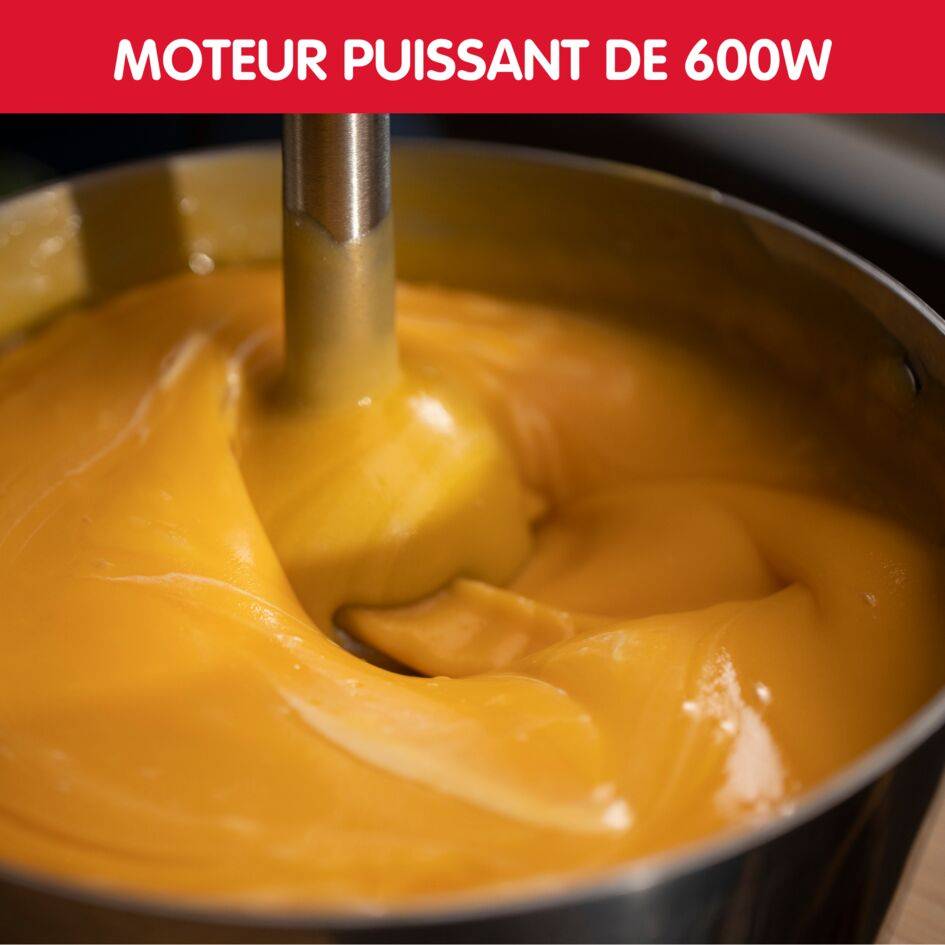 Eco respect, Pied mixeur, Eco conçu, Lames powelix, 2 vitesses, 600 W, Fabriqué en France, Noir