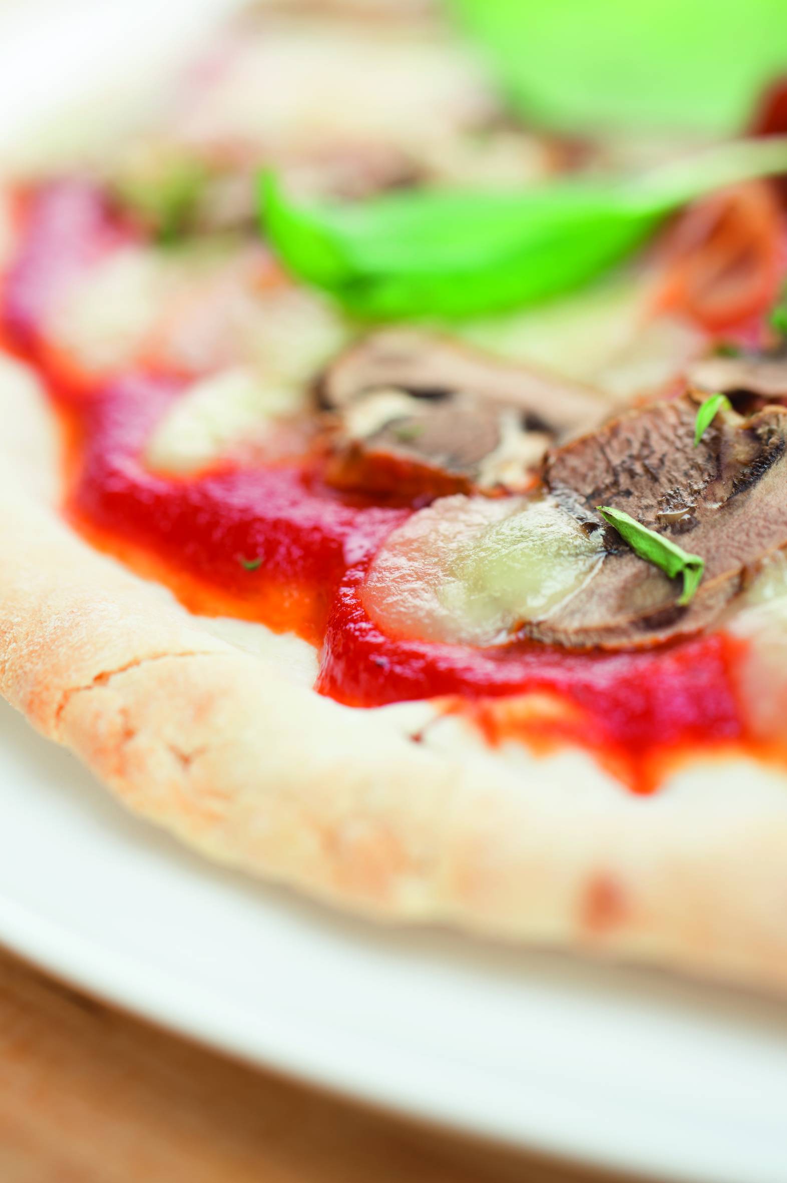 ROBOT CUISEUR COMPANION XL 1550 W