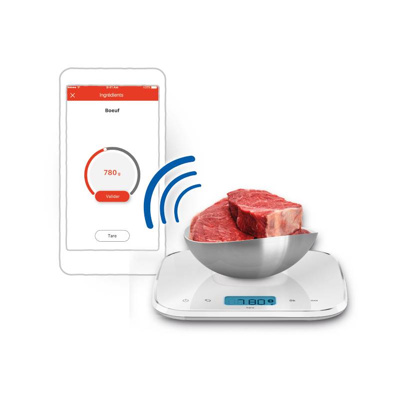Scale for Companion XF38E110