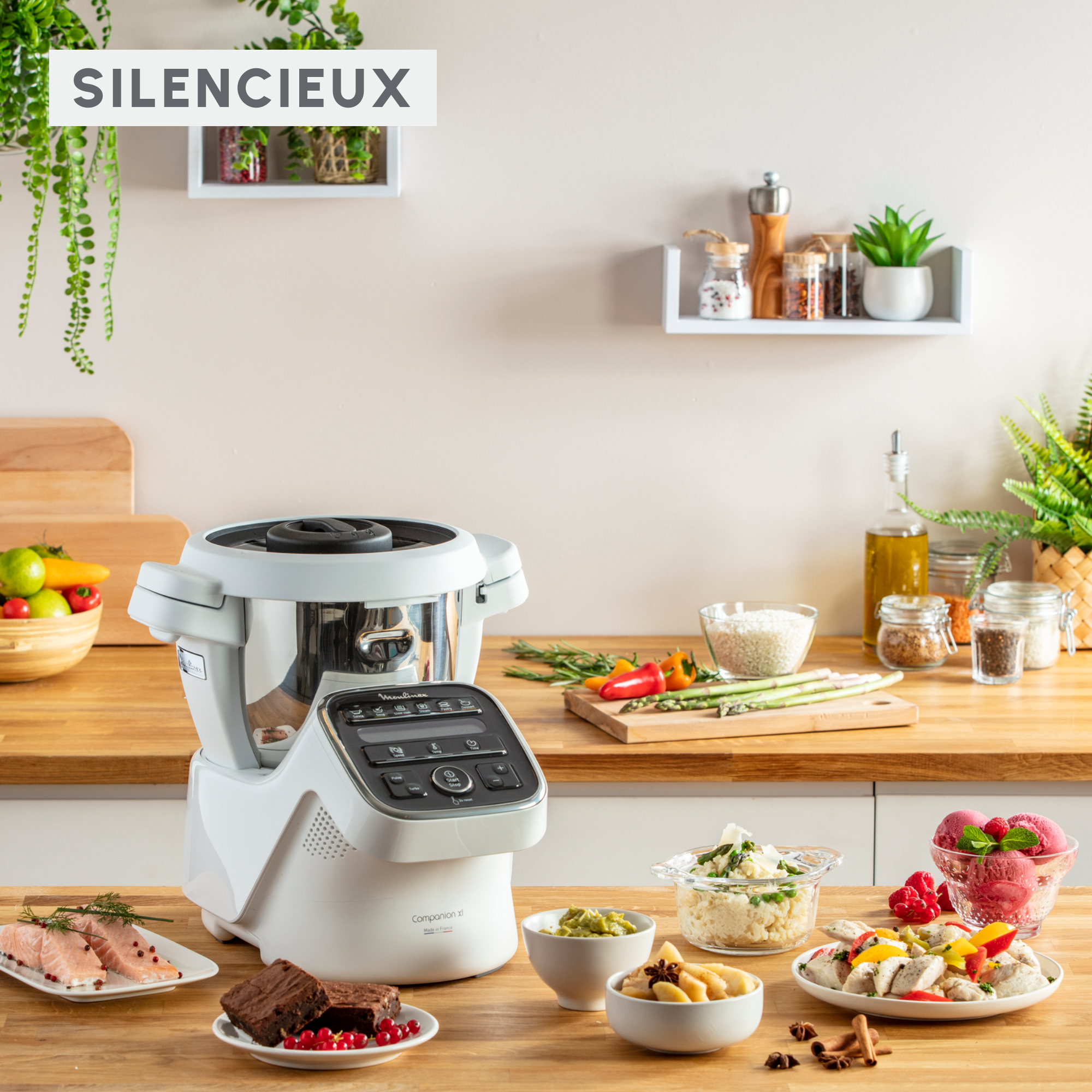 RECONDITIONNÉ Companion, Robot cuiseur, 14 fonctions, Capacité XL 10 personnes, Gris, Fabriqué en France