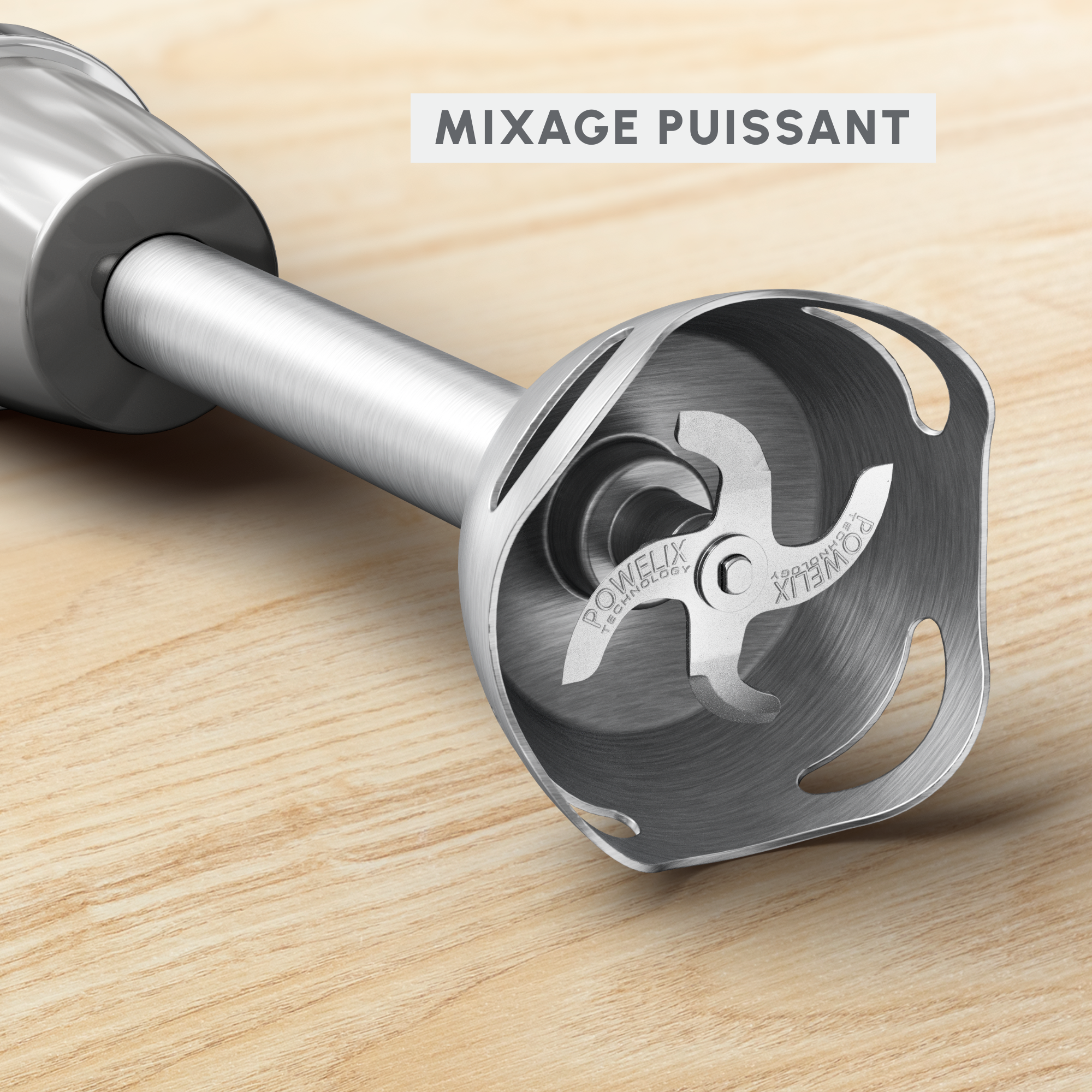 Quickchef+, Pied mixeur, lames powelix, 20 vitesses, 3 Accessoires glace pilée mini hachoir fouet, 1000 W, Gris et métal