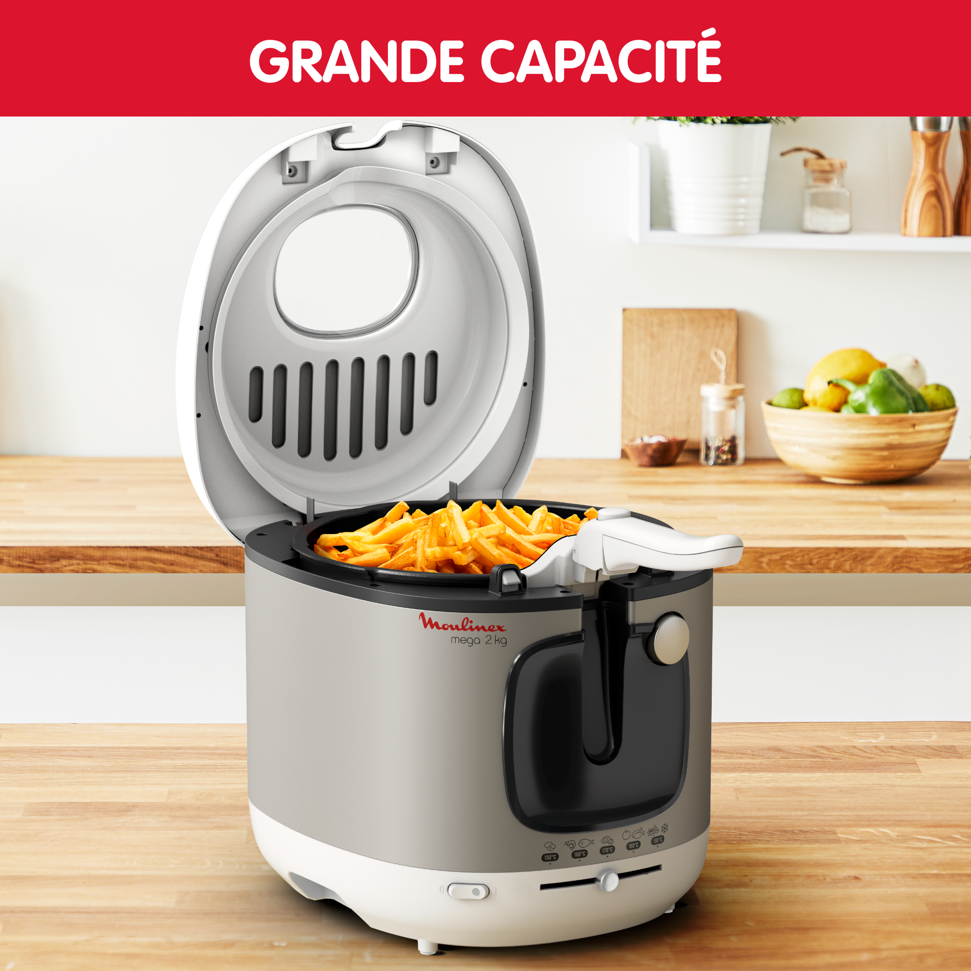Méga XXL, Friteuse électrique, Grande capacité 2Kg, cuve amovible, Thermostat règlable