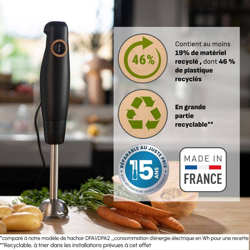 Intension, Pied mixeur, Lames powelix, 2 vitesses, 600 W, Fabriqué en France, Noir