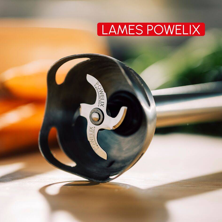 Intension, Pied mixeur, Lames powelix, 2 vitesses, 600 W, Fabriqué en France, Noir