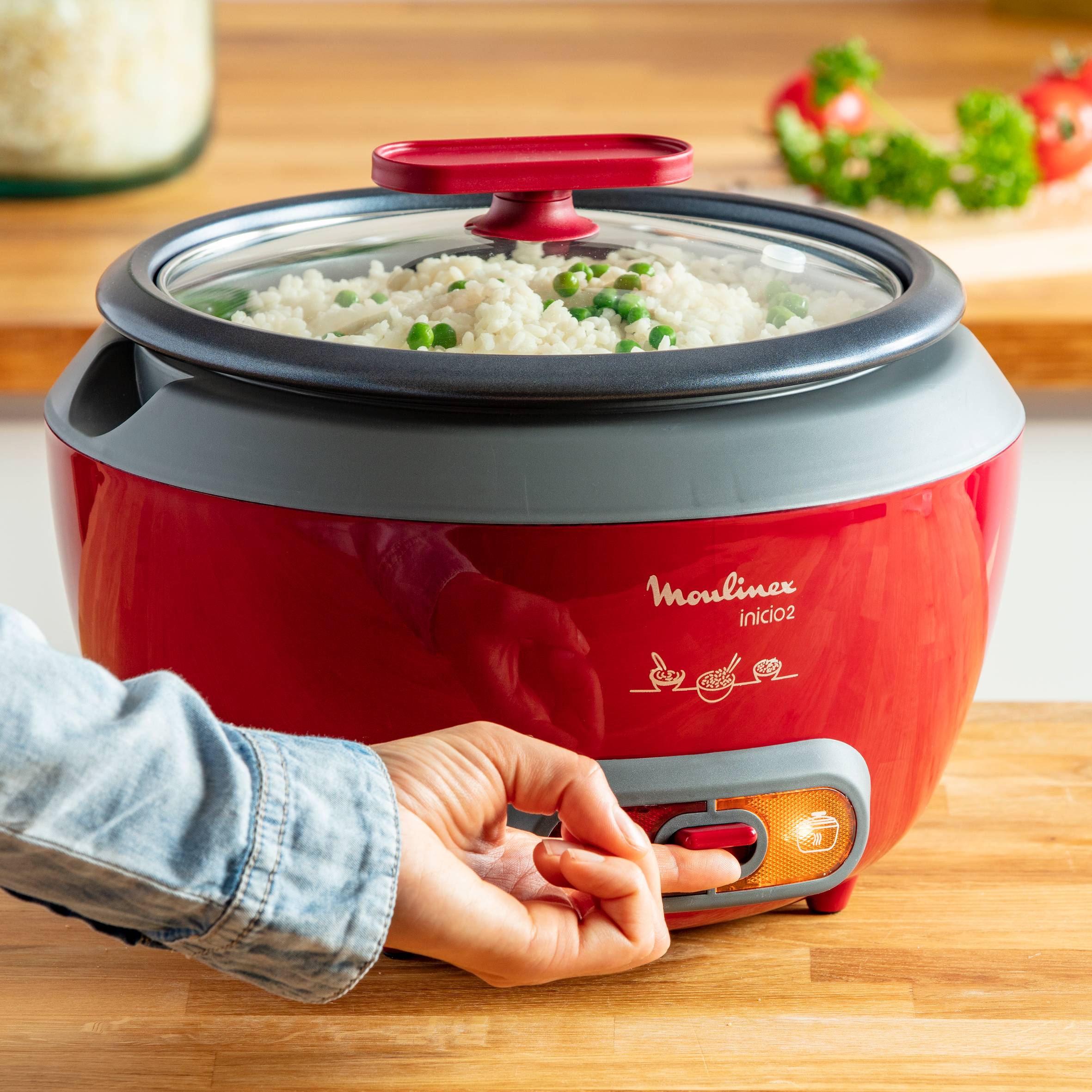 Cuiseur à riz inicio 2