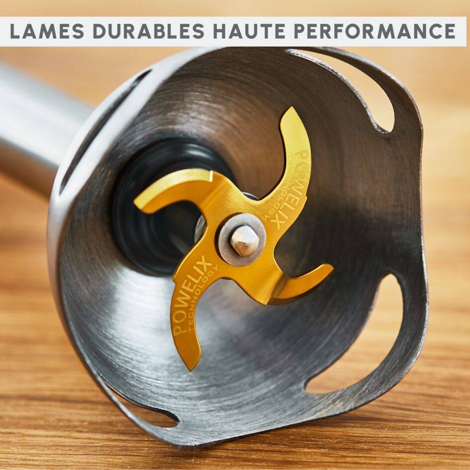 Infiny force, Pied mixeur, Lames powelix, 3 accessoires, 1000 W, Noir