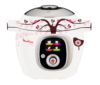 Stickers pour Cookeo 'L'Oiseau et le Vent' XA604000