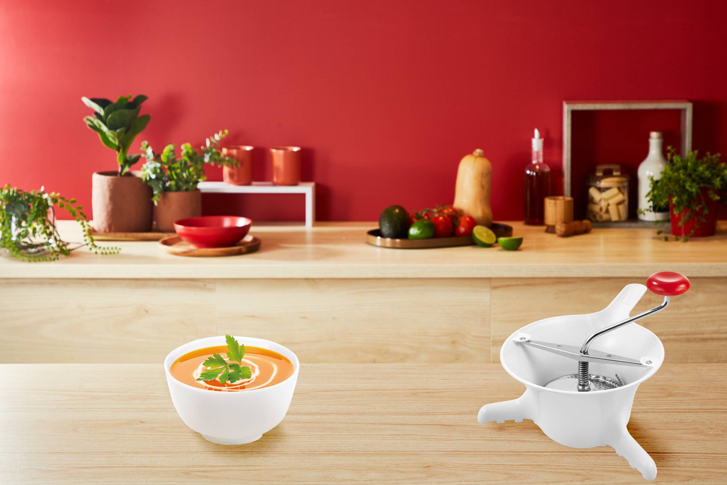 CLASSIC Moulin à légumes Plastique Petit Modèle