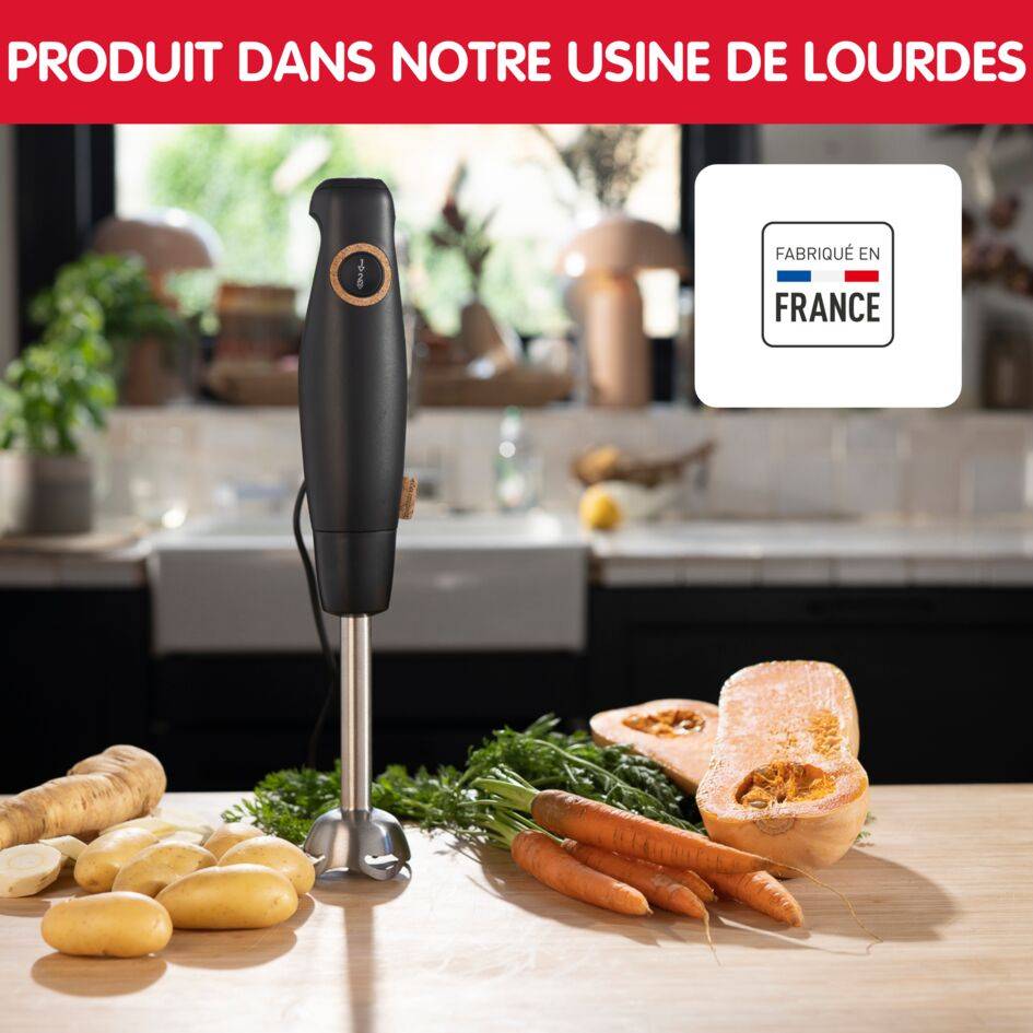Eco respect, Pied mixeur, Eco conçu,  Lames powelix, 2 vitesses, 600 W, Fabriqué en France, Noir