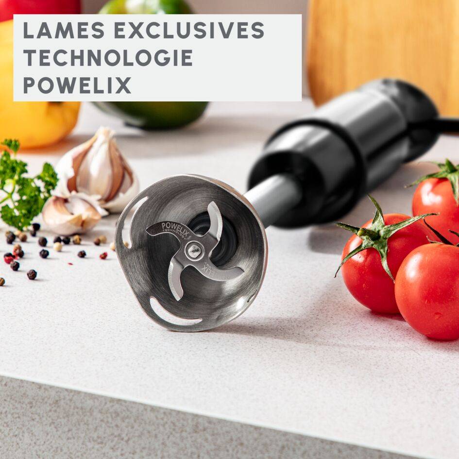 Mixeur plongeant Optichef