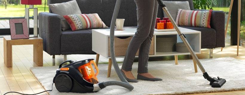 Bac à Poussière Pour Aspirateur Balai Moulinex MS7233W - Occasion, Fonctionnel, Avec Socle