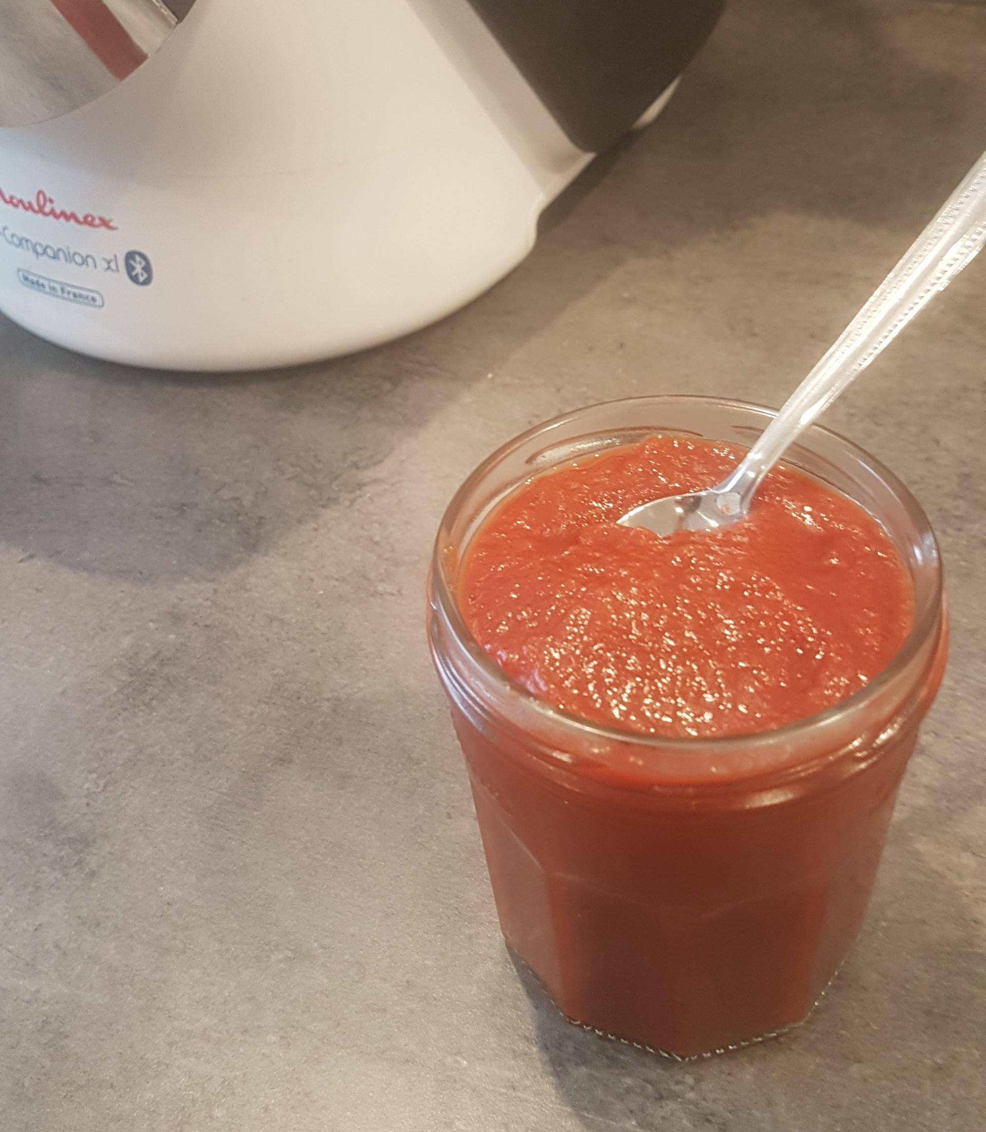 Ketchup - Recette Companion Connect | Moulinex