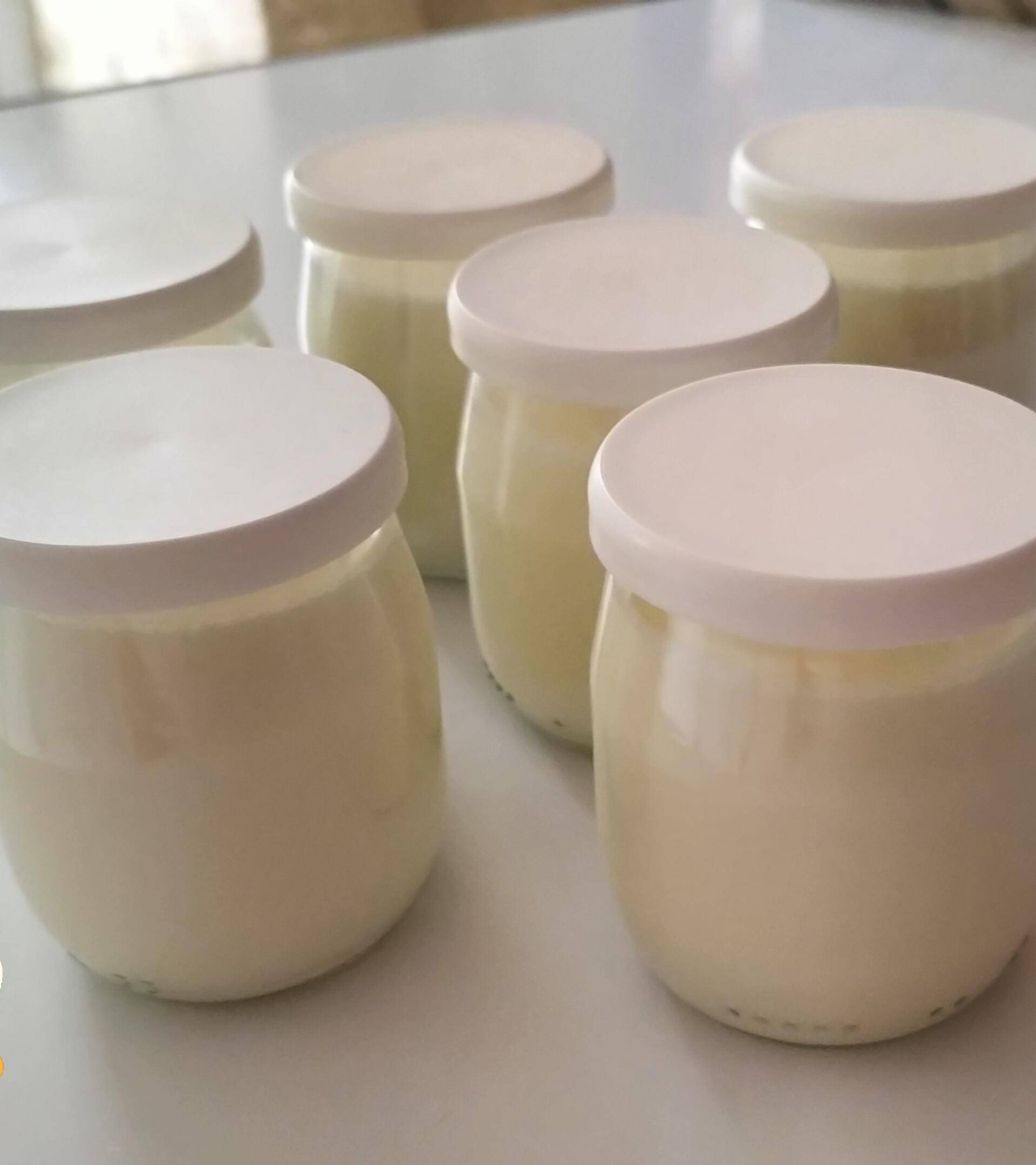 6 yaourts nature en pots - Recette Companion NEO | Moulinex