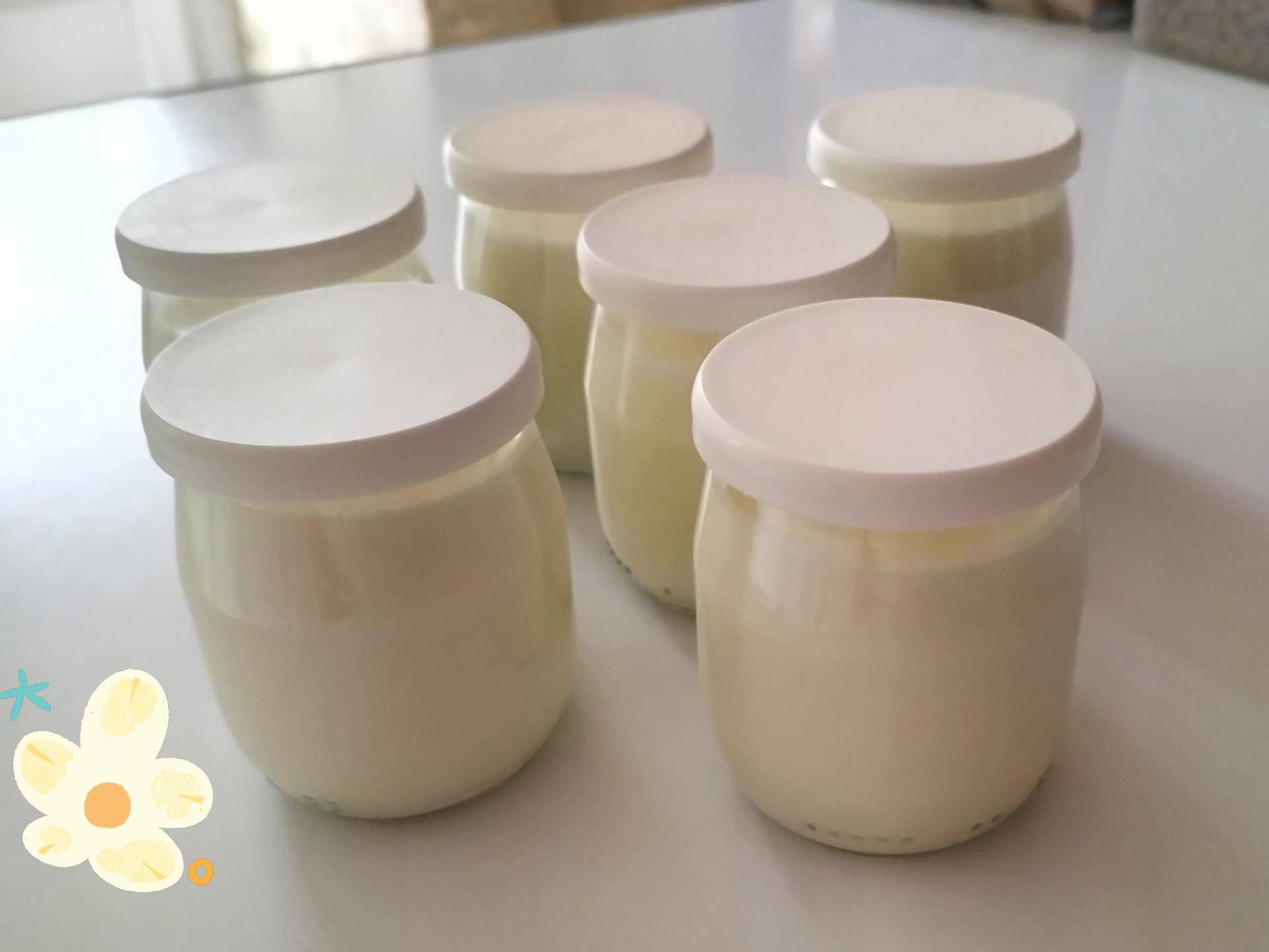 Yaourts natures - Recette Companion Connect XL | Moulinex