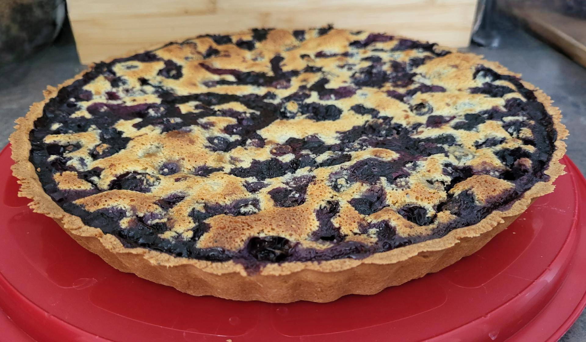 Tarte amande myrtille - Recette Companion Connect XL | Moulinex