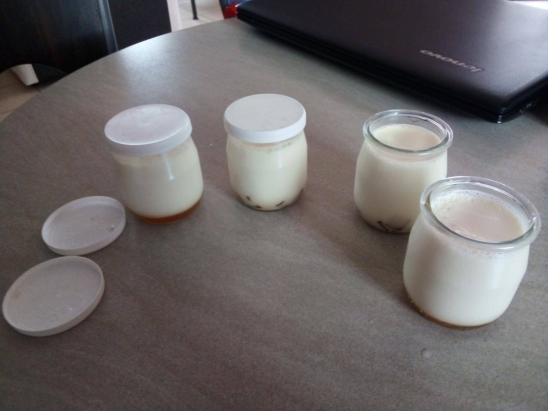 Yaourts avec ou sans yaourtière - Recette Companion XL | Moulinex