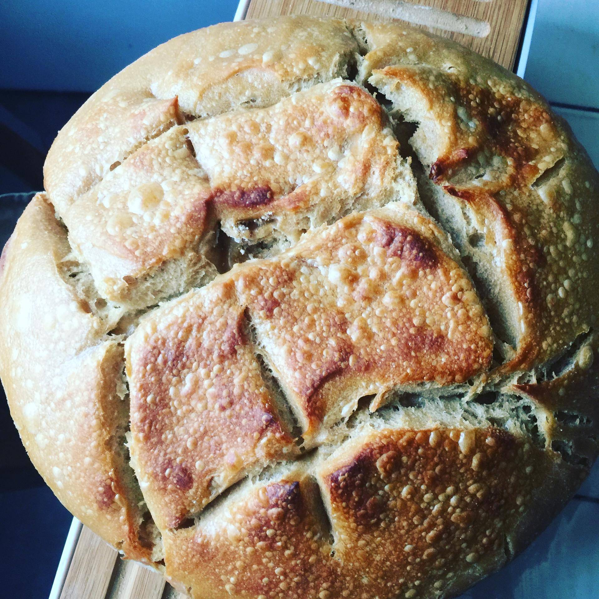 Pains au levain de kefir - Recette Companion XL | Moulinex