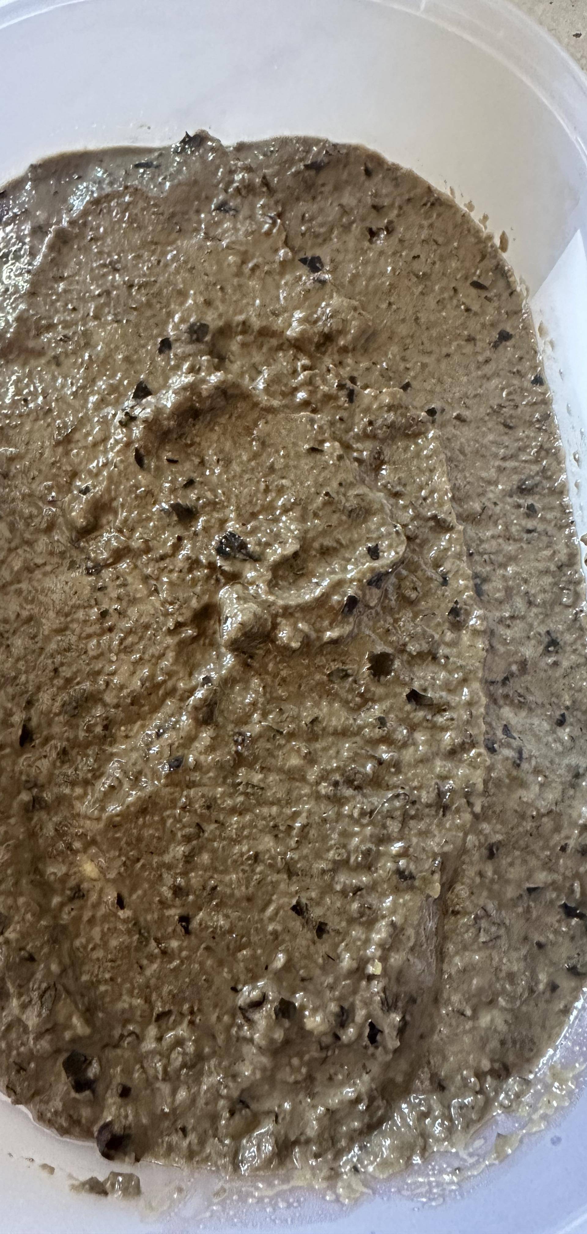 Tapenade d’olives noires de JLFeytiat - Recette Companion Connect XL | Moulinex