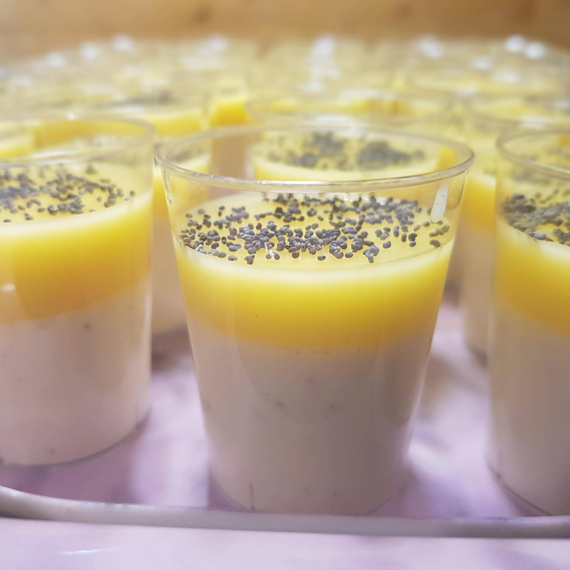 Panna cotta au citron (agar agar) - Recette Companion XL | Moulinex