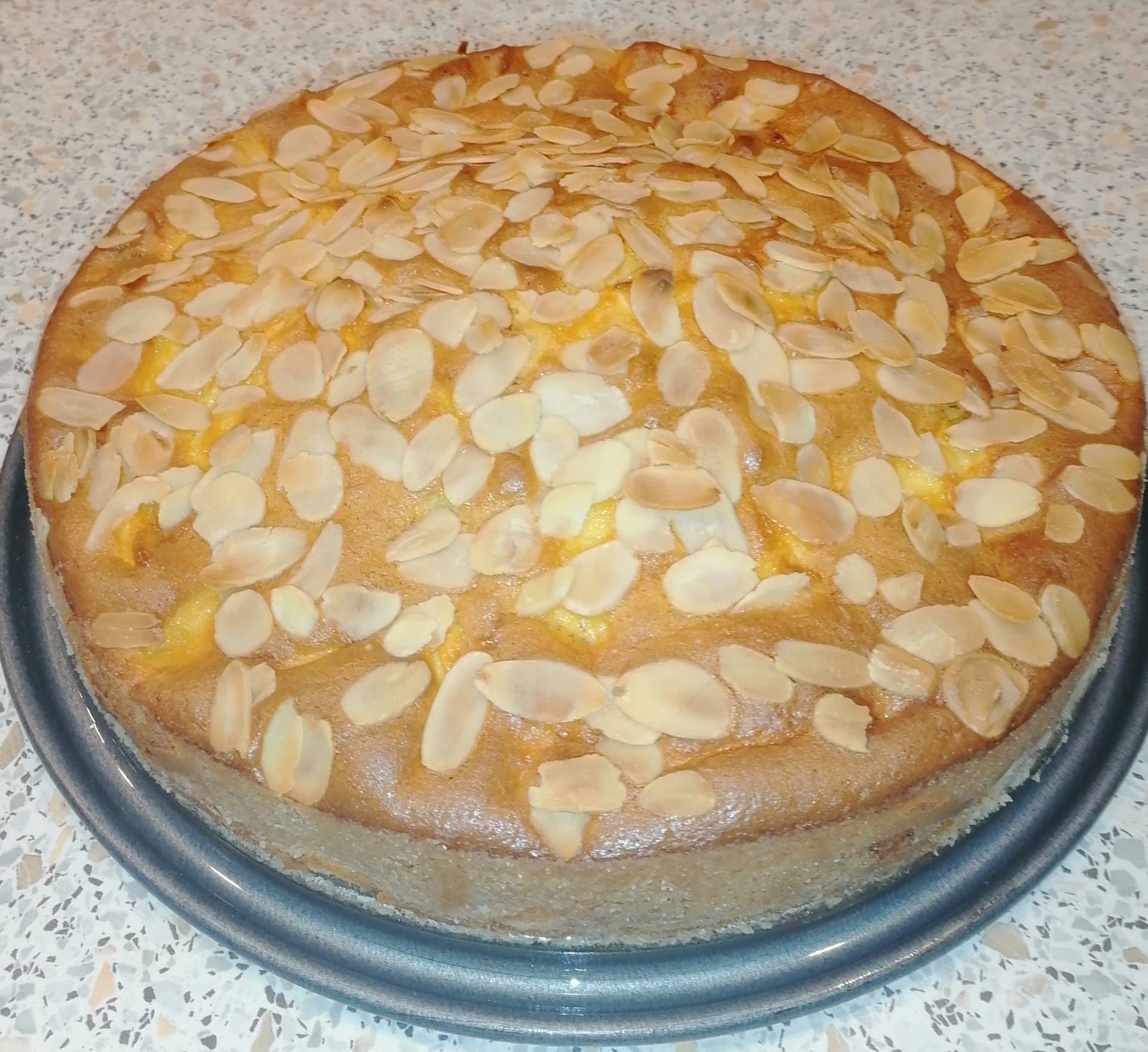 Gâteau au yaourt aux pommes et aux amandes - Recette Companion XL | Moulinex