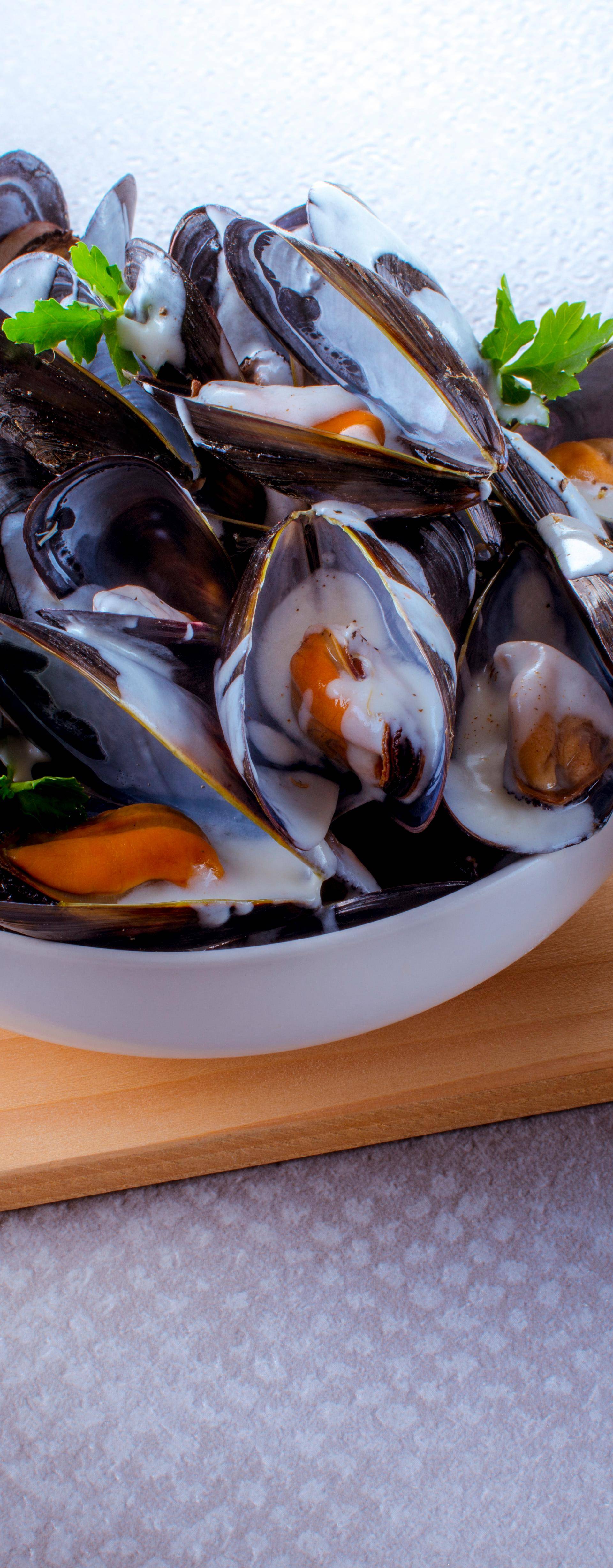 Moules sauce poulette - Recette Companion | Moulinex