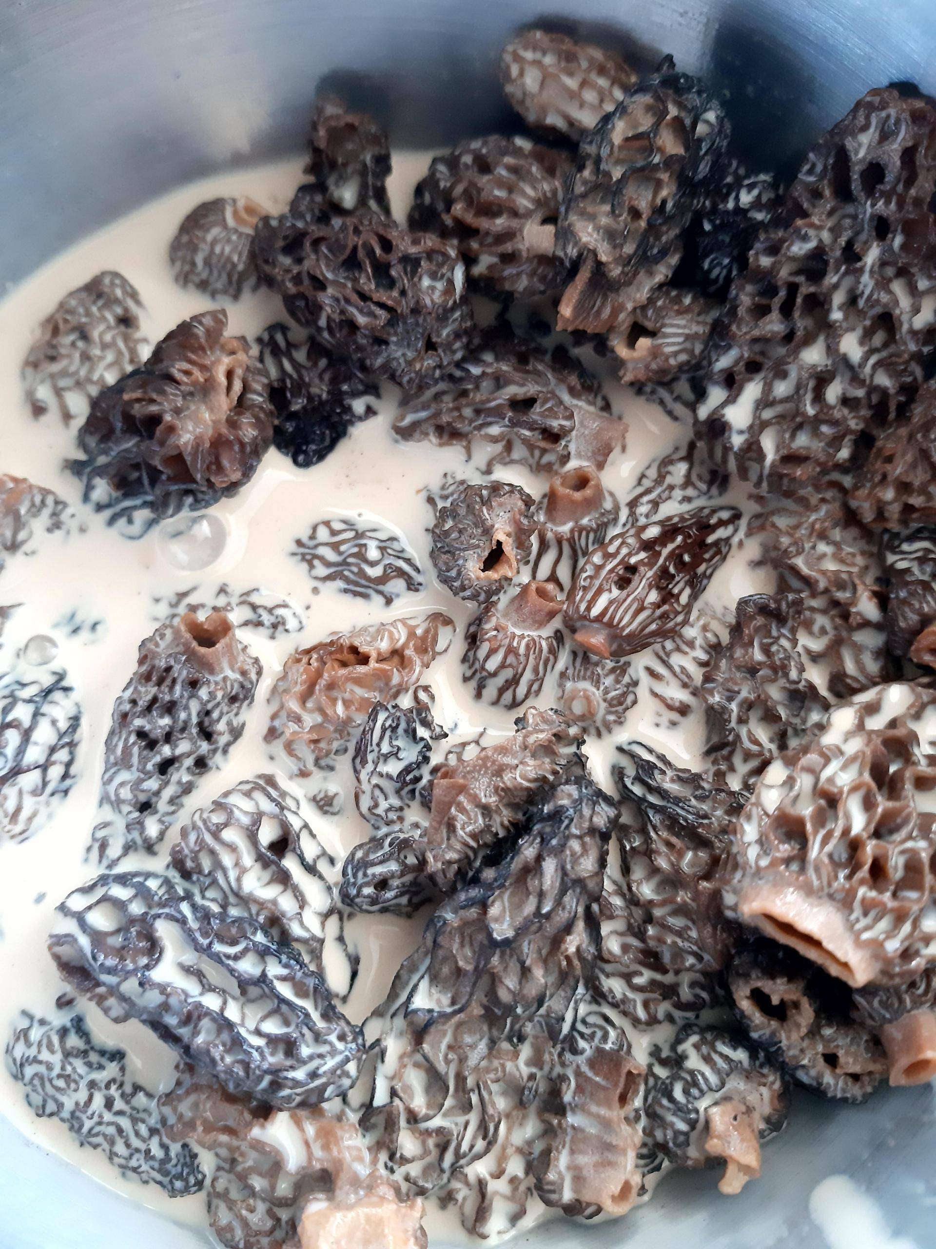 Sauce crème aux morilles - Recette Companion Connect XL | Moulinex