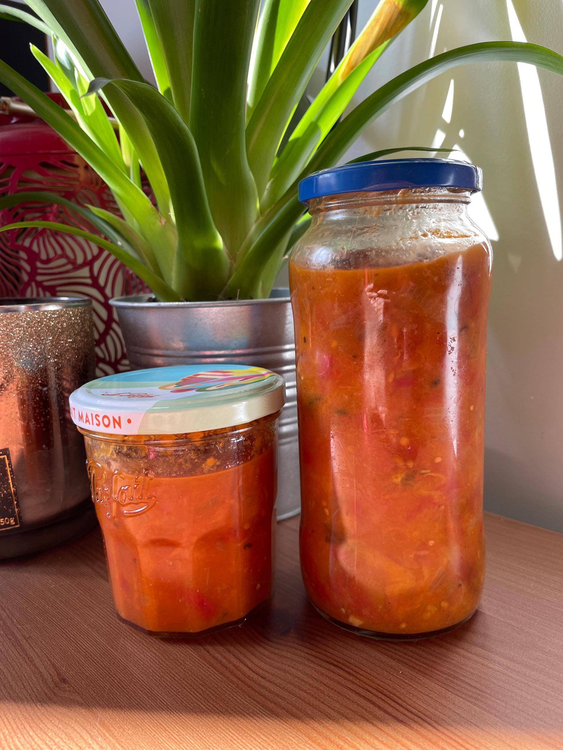 Sauce tomate provençale maison - Recette Cookeo | Moulinex