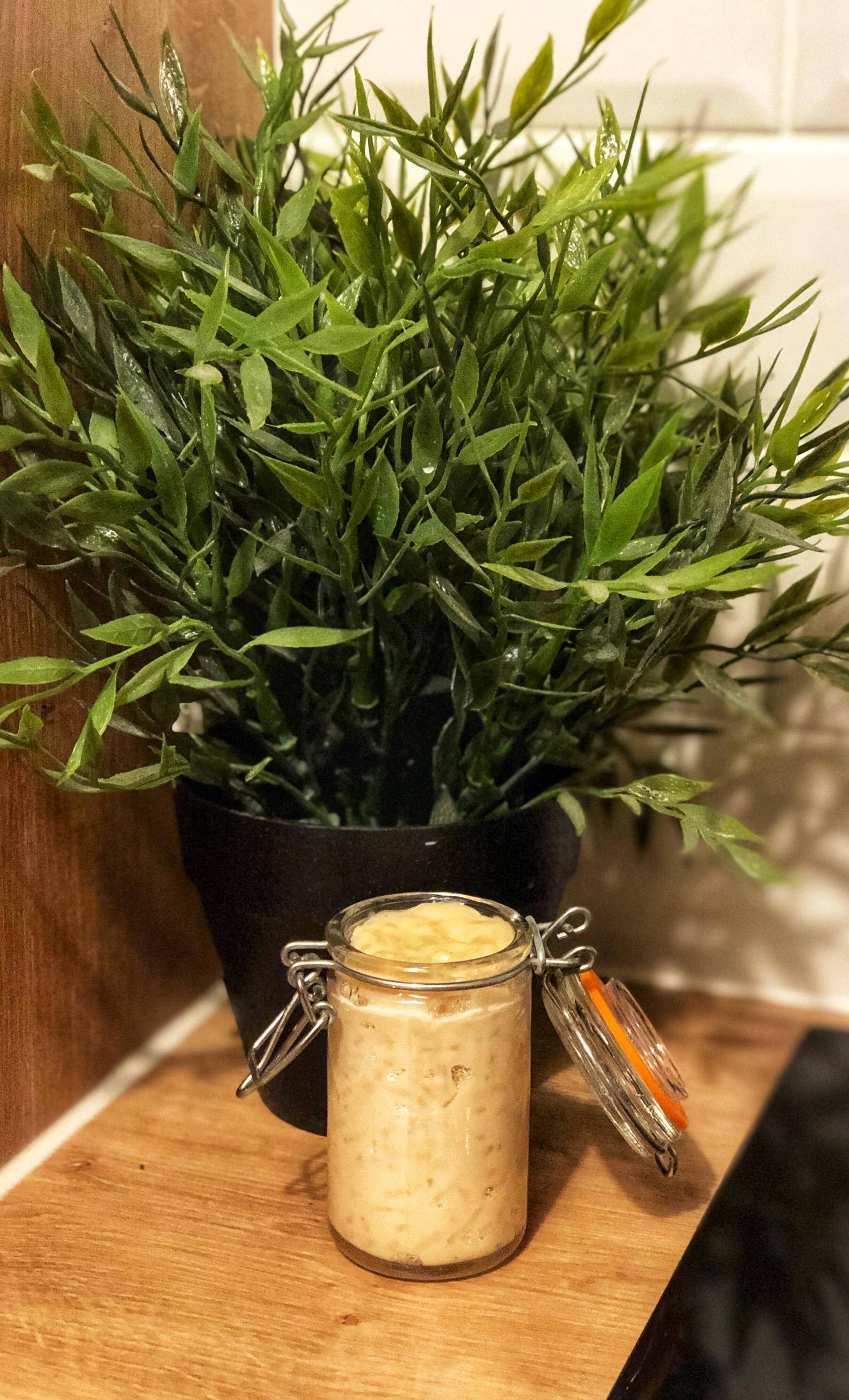 Riz crémeux au lait végétal (sans lactose, vegan) - Recette Companion Connect XL | Moulinex