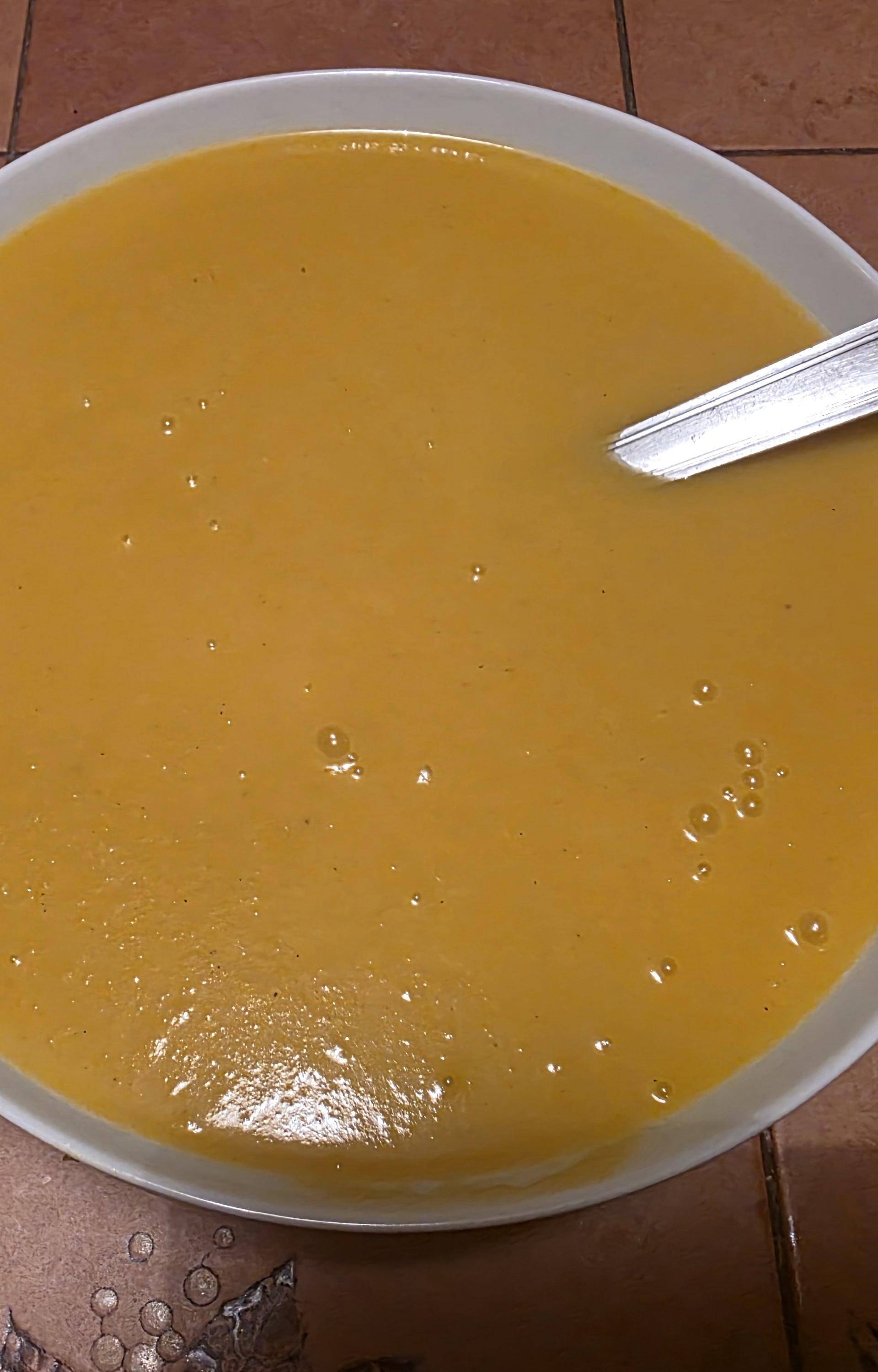 Soupe poireaux , pomme de terre et potimarron - Recette Companion Connect XL | Moulinex