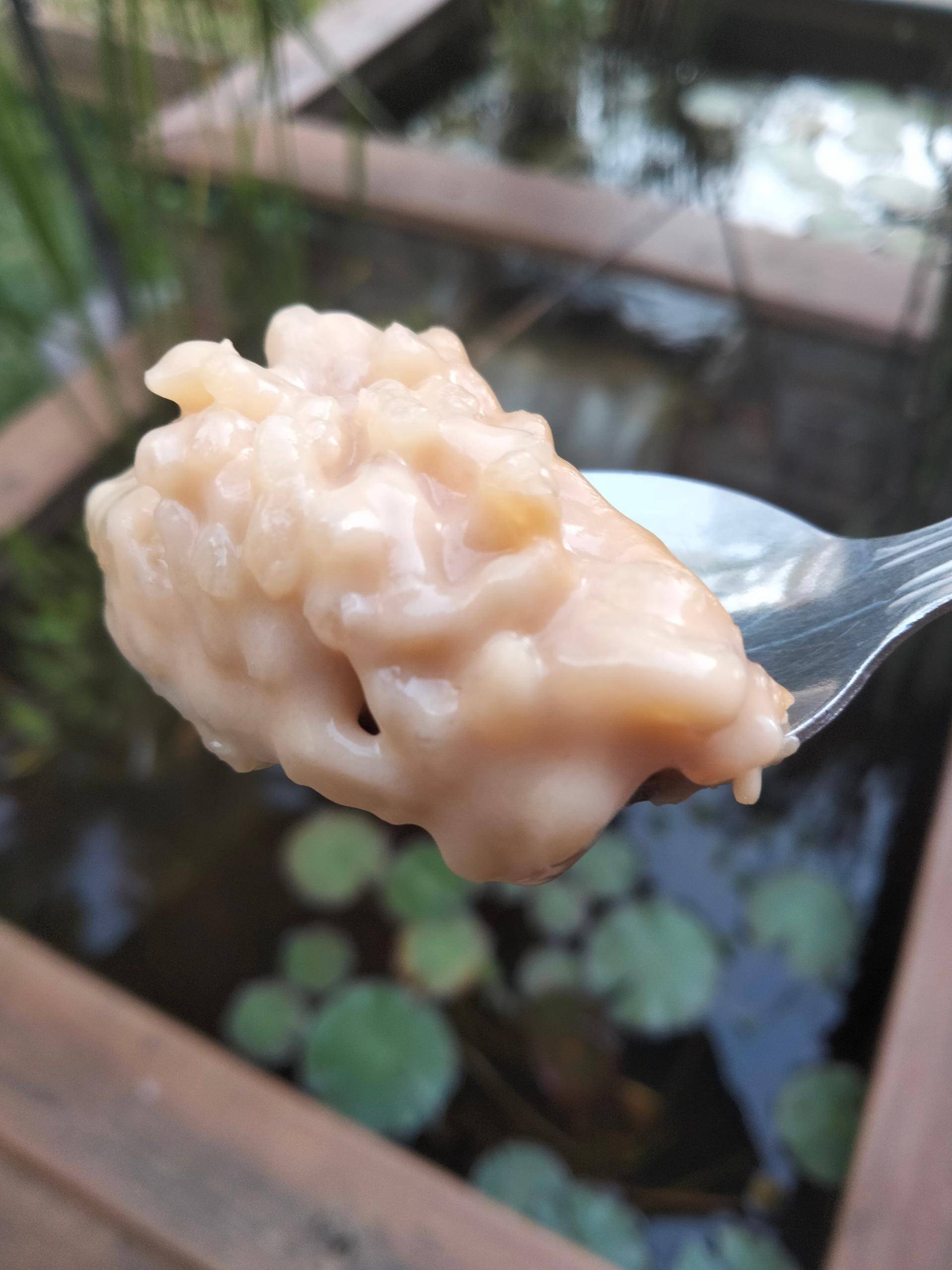 Riz au lait végétal crémeux - Recette Companion XL | Moulinex