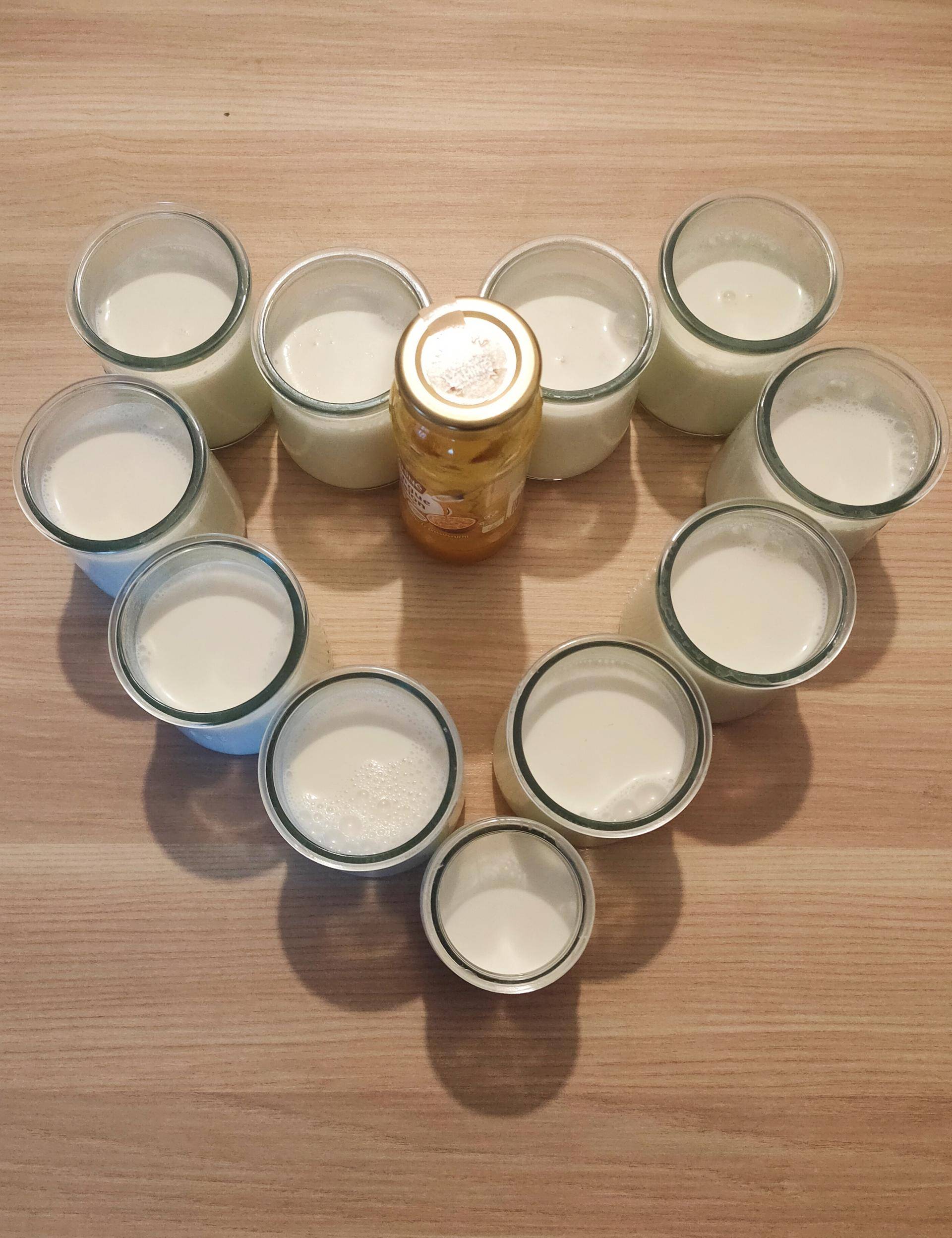 Panna cotta Sandriel - Recette Companion XL | Moulinex