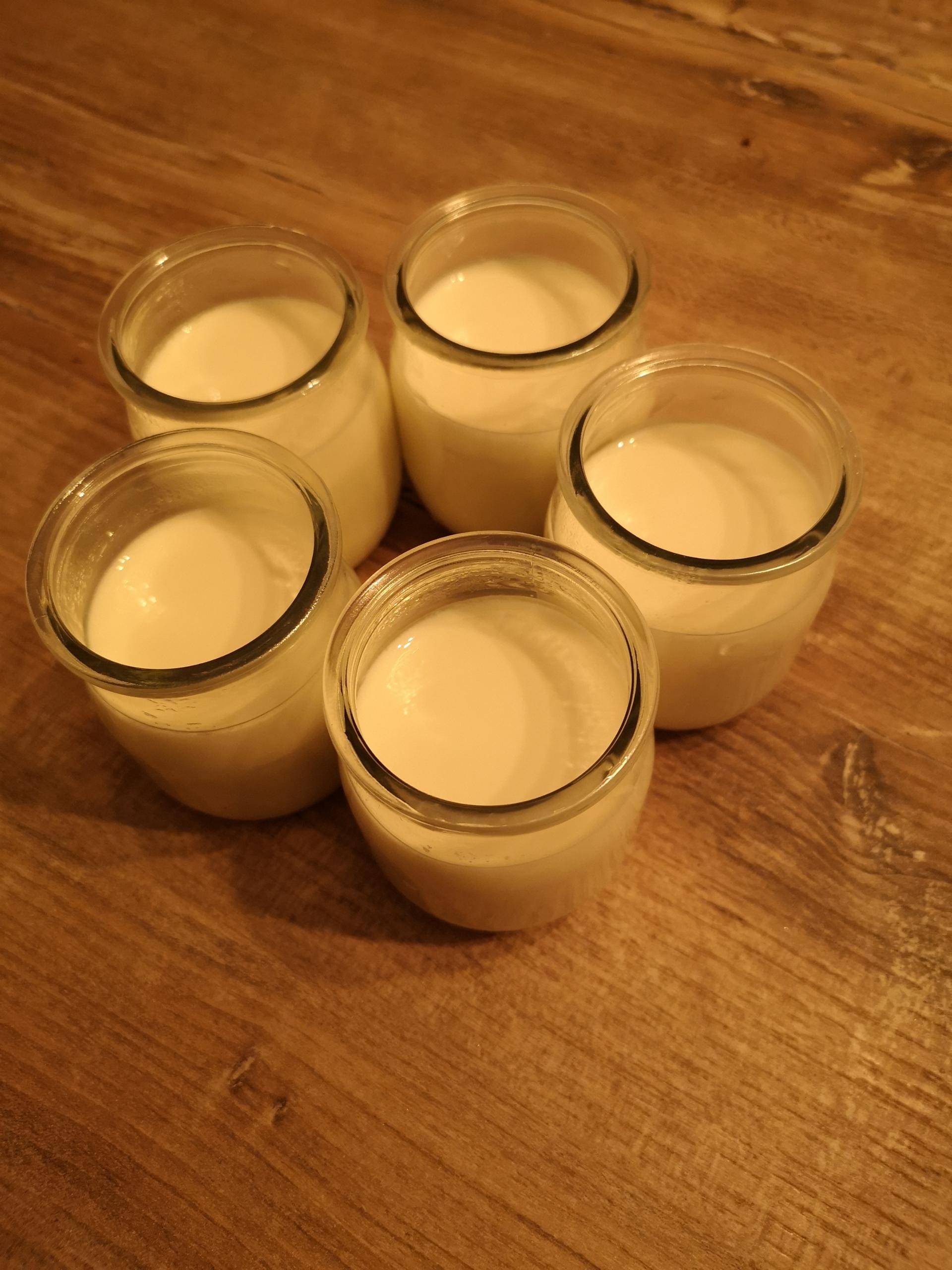 Yaourt nature facile - Recette Companion XL | Moulinex