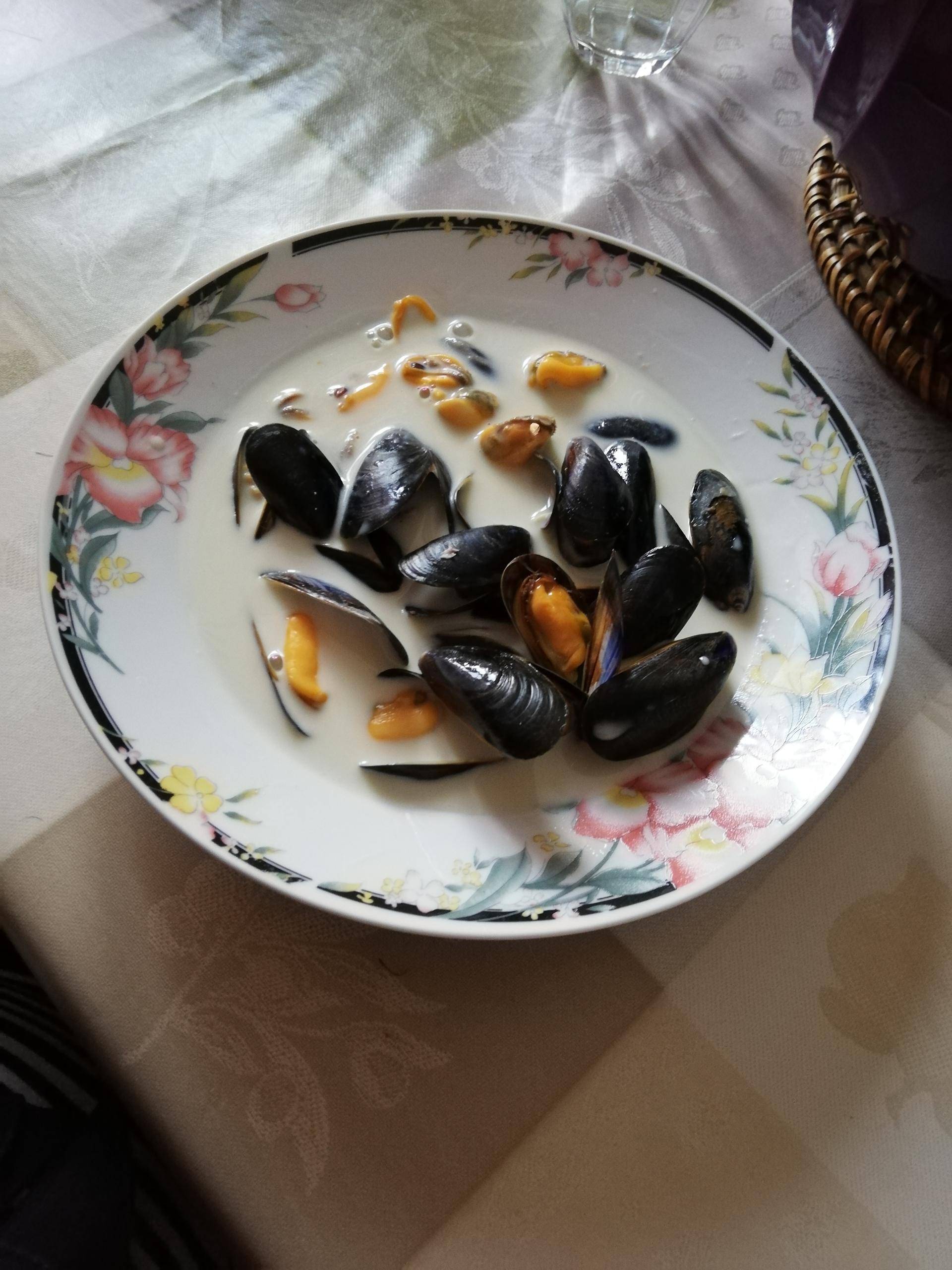 Moules à la sauce roquefort - Recette Companion Connect XL | Moulinex