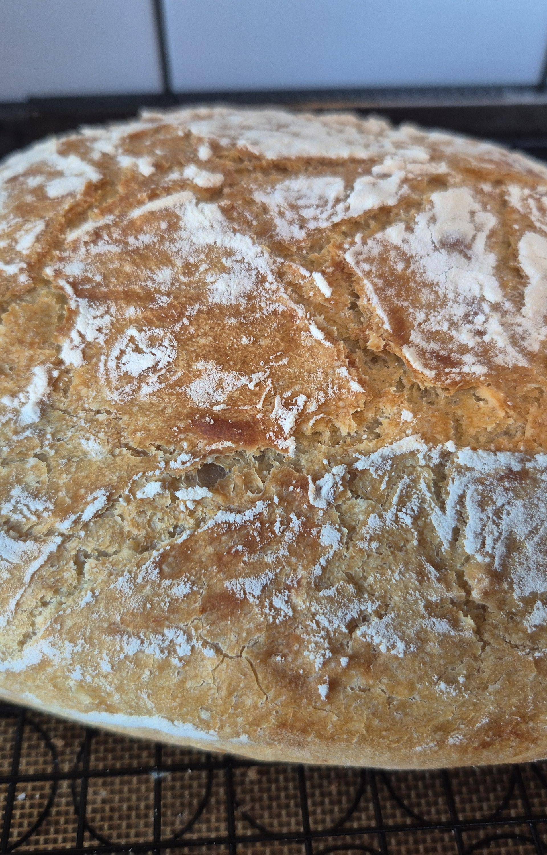 Pain cocotte - Recette Companion Connect | Moulinex