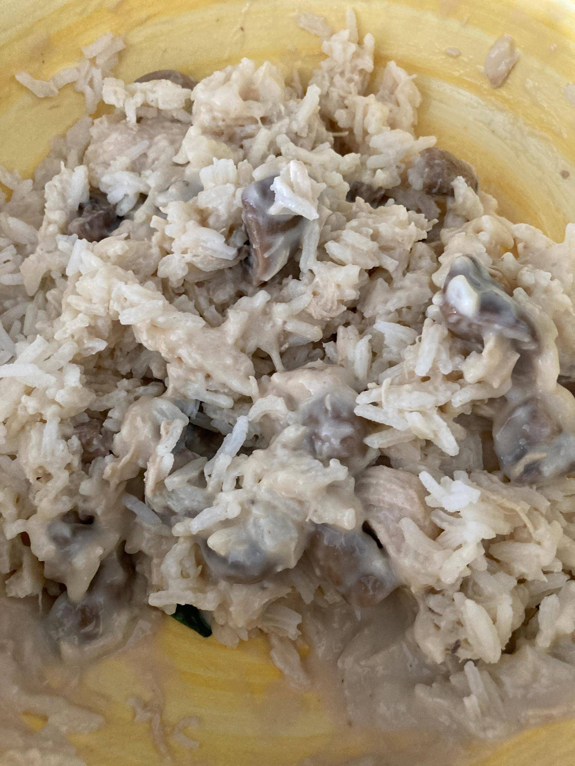 Blanquette de volaille - Recette Companion Connect XL | Moulinex