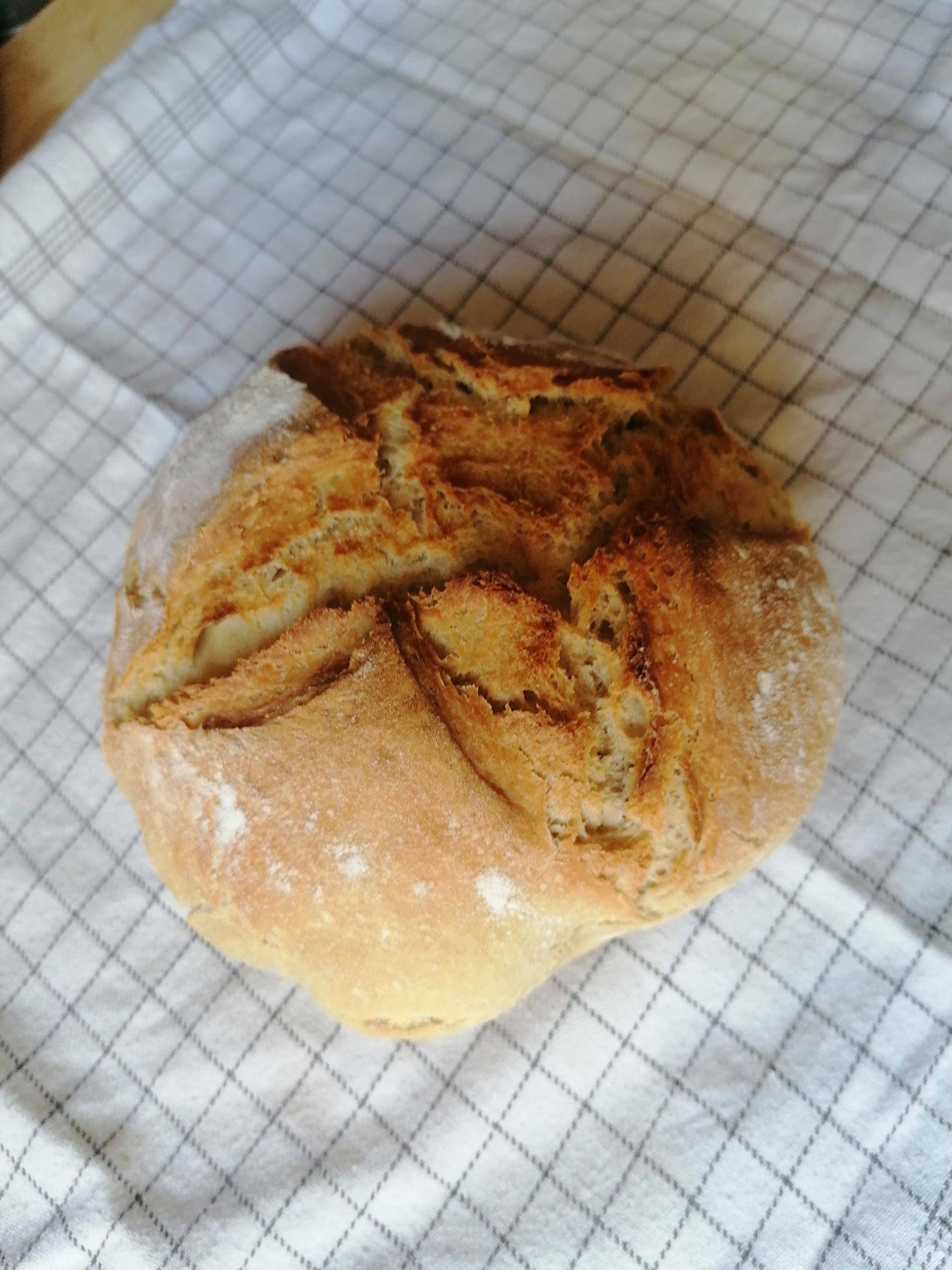 Petit pain cocotte - Recette Companion Connect XL | Moulinex