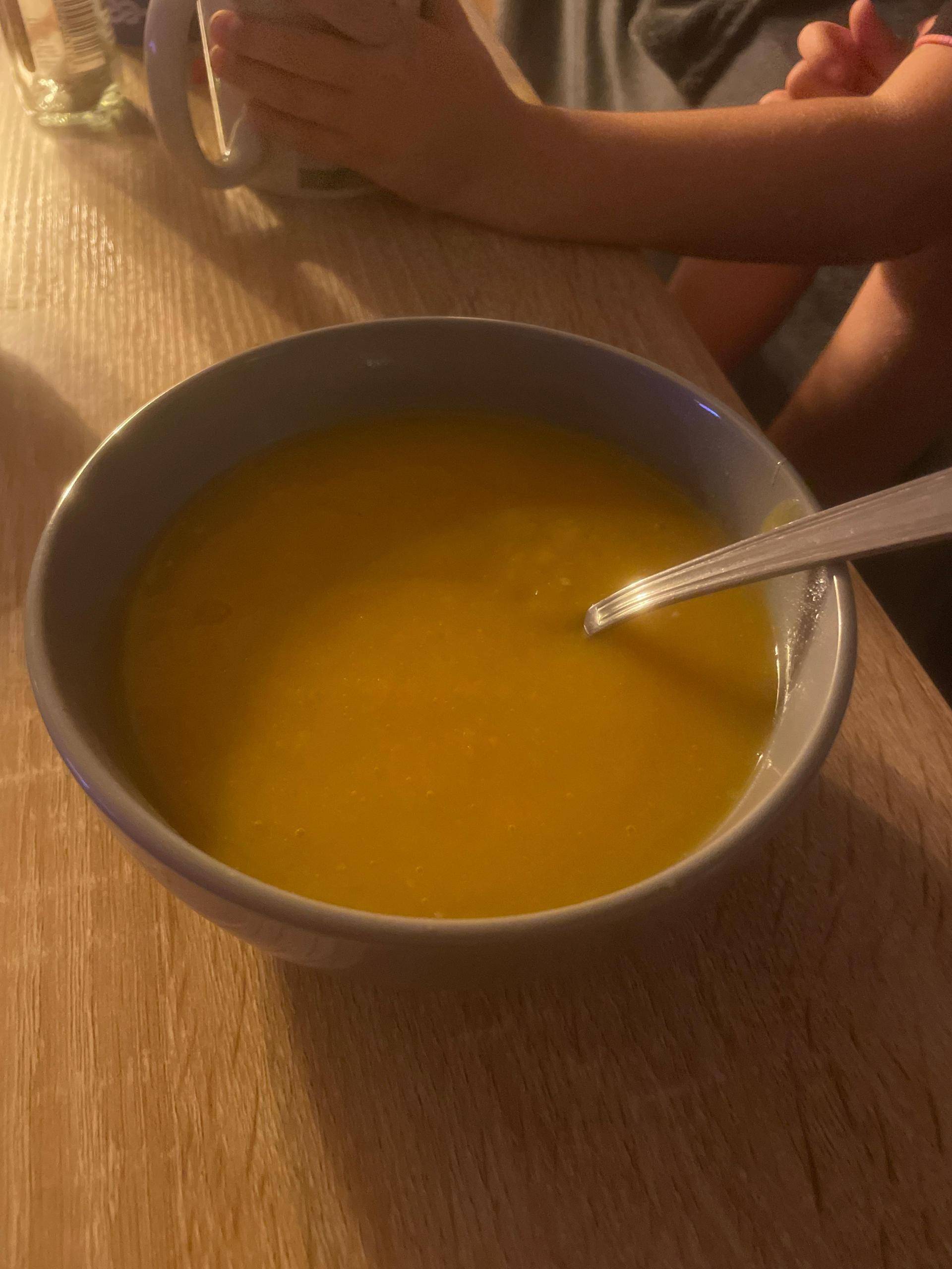 Potage - Recette Companion XL | Moulinex