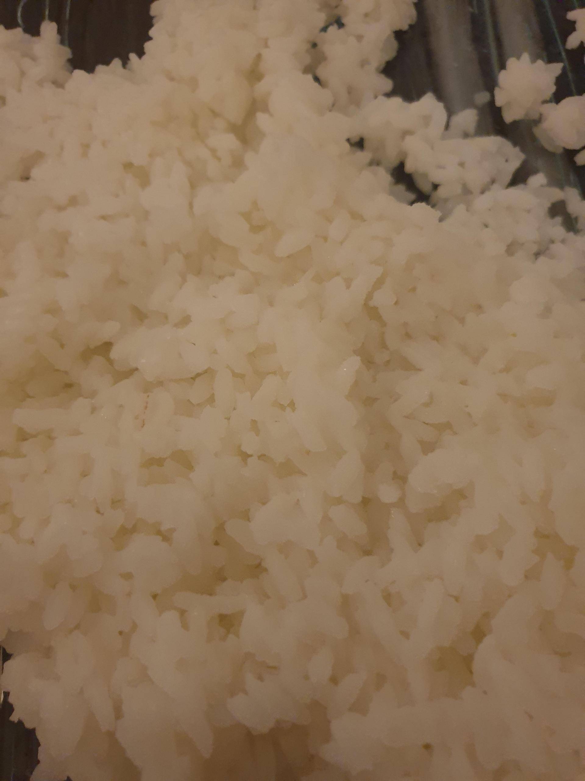 Riz a sushi - Recette Companion XL | Moulinex