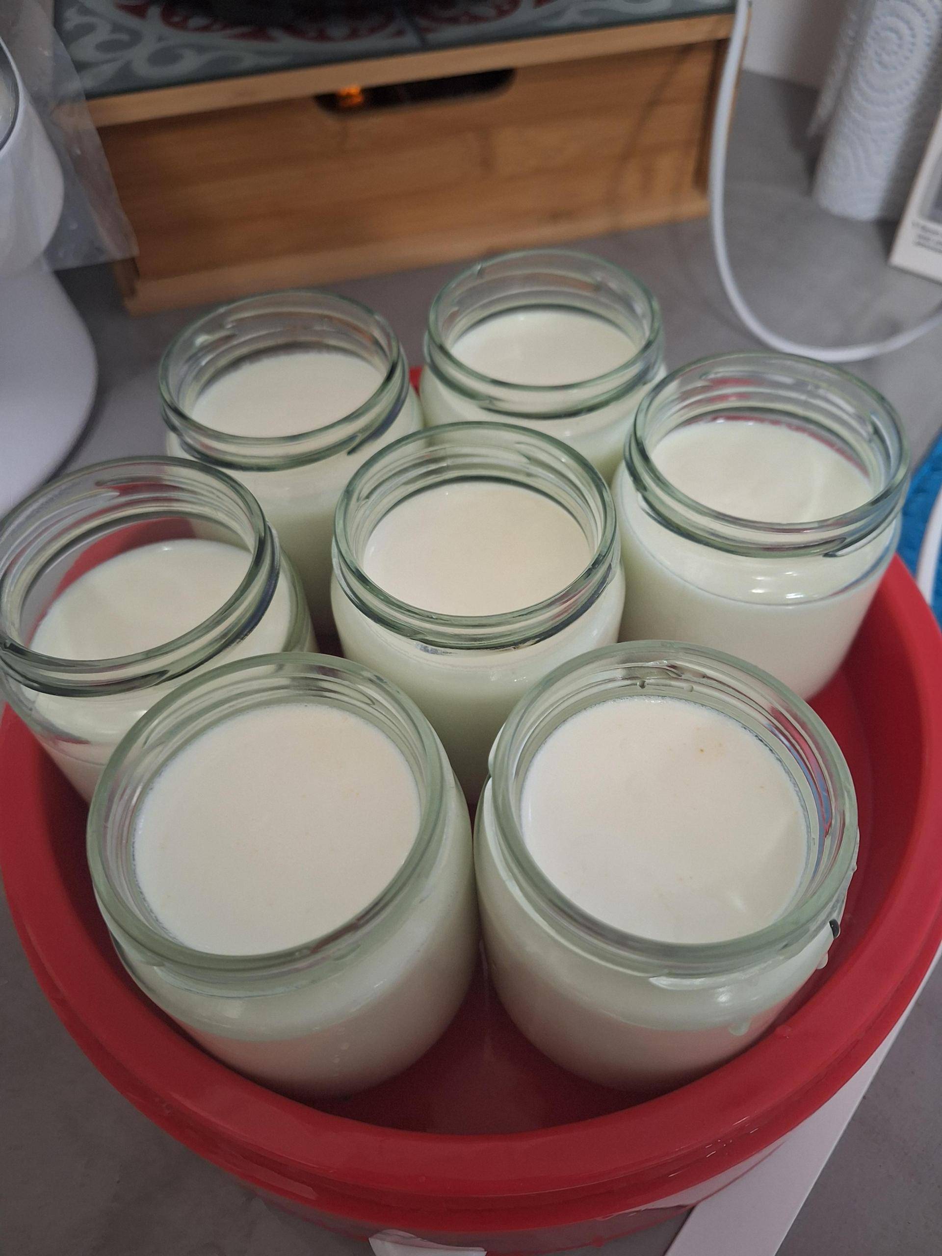 Yaourt nature - Recette Companion Connect | Moulinex
