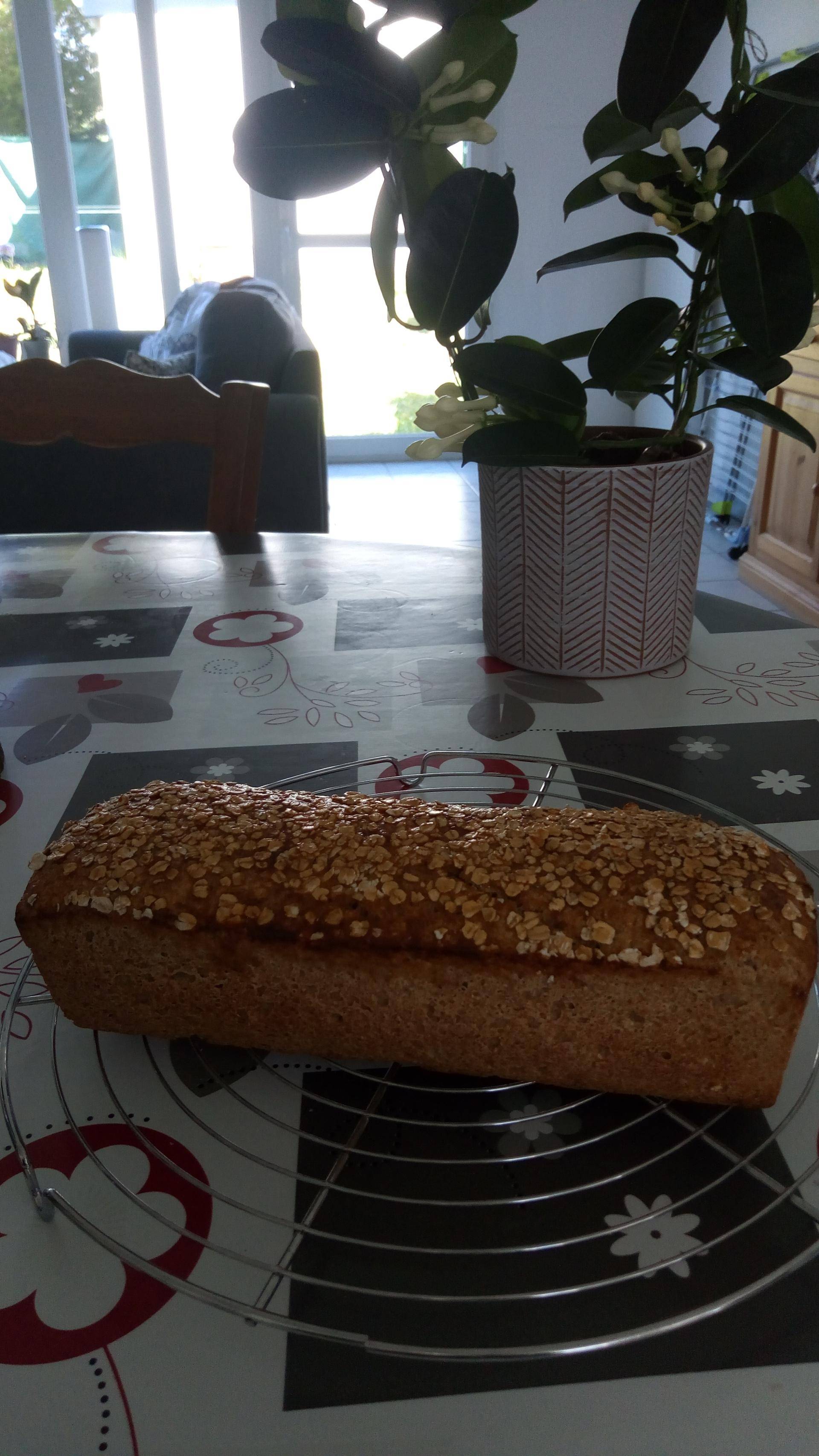 Pain aux flocons d'avoine et miel - Recette Companion XL | Moulinex