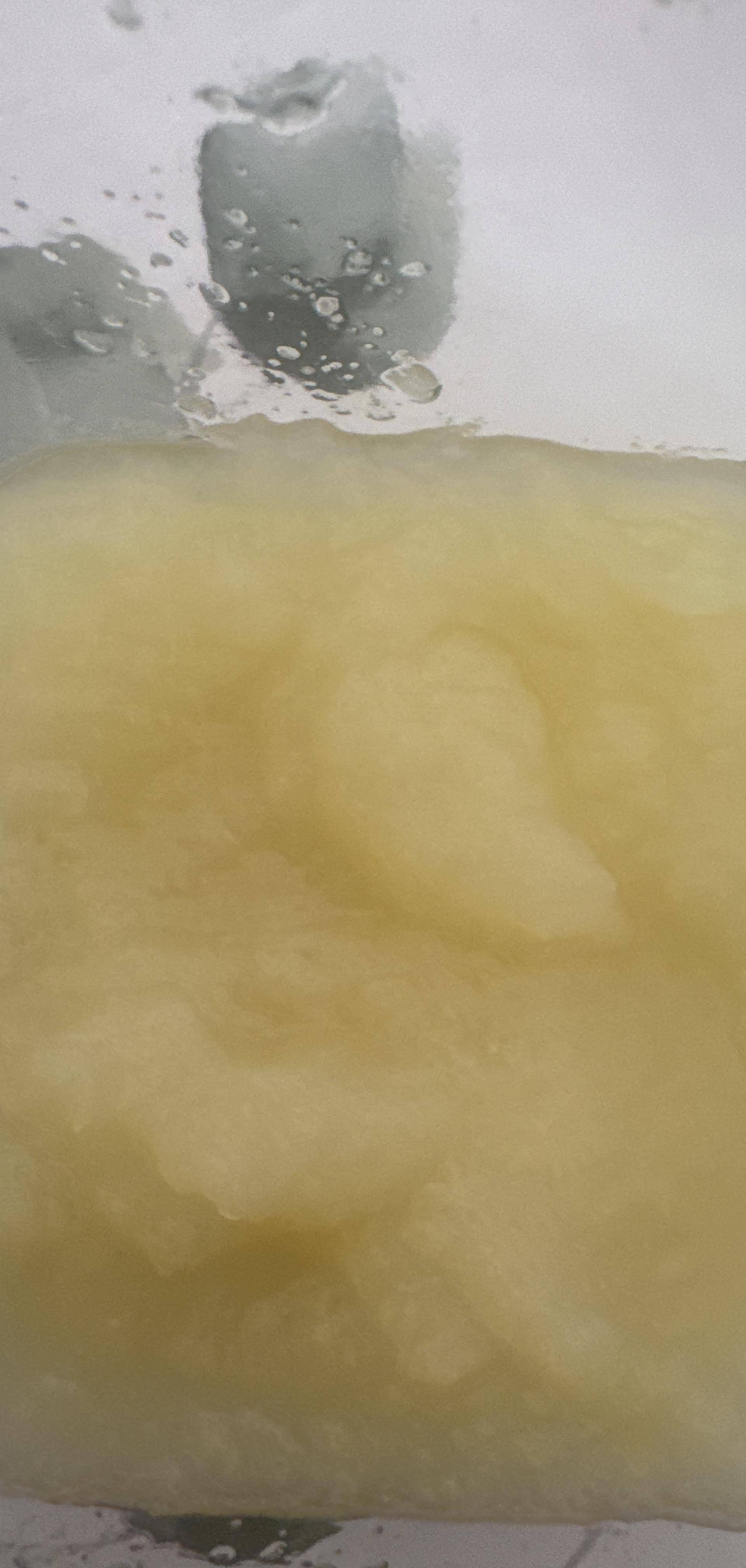 Compote Abricots Bébé - Recette Companion Connect XL | Moulinex