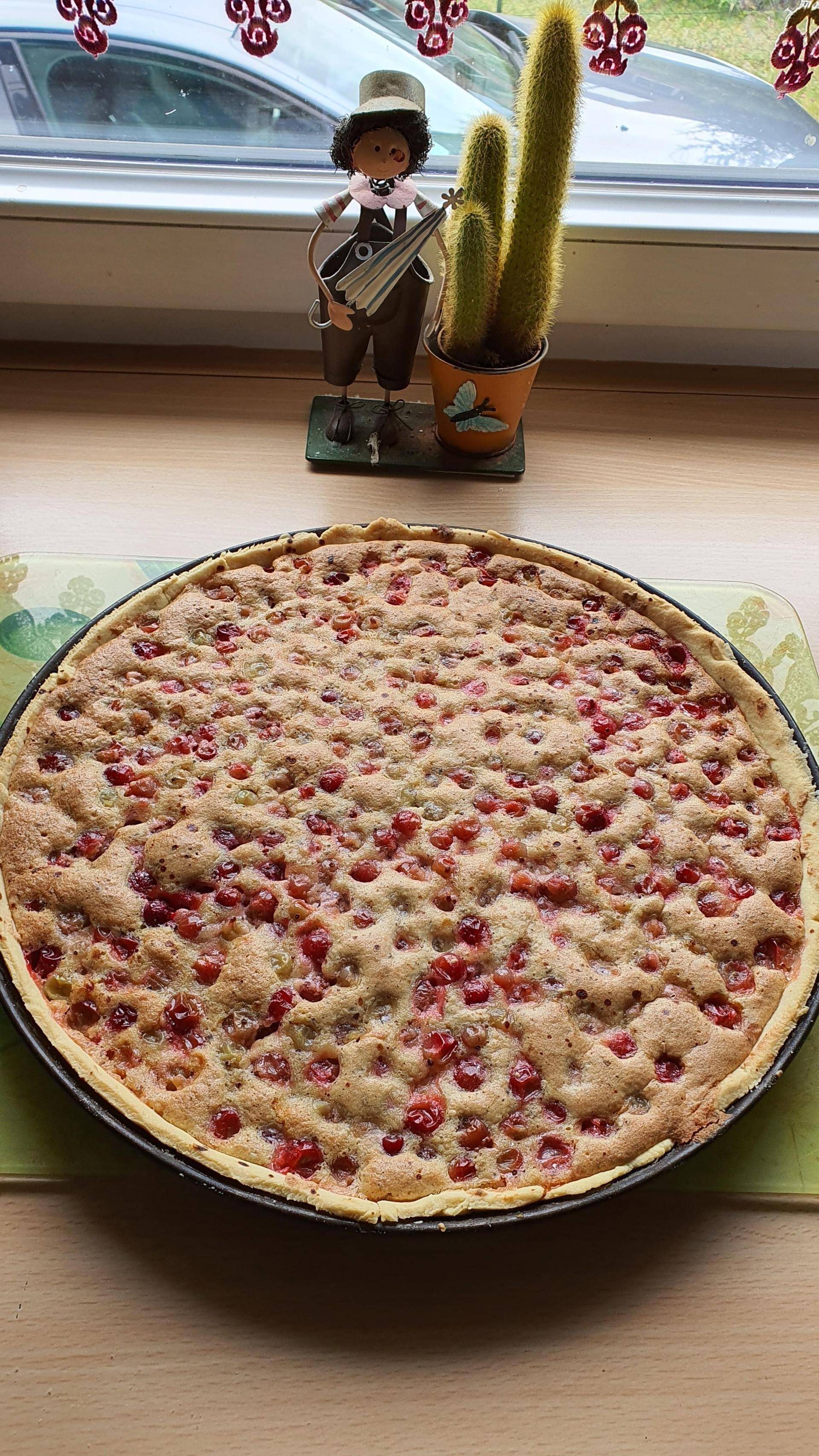 Tarte aux croques Poux (groseilles à maquereau) - Recette Companion Connect | Moulinex