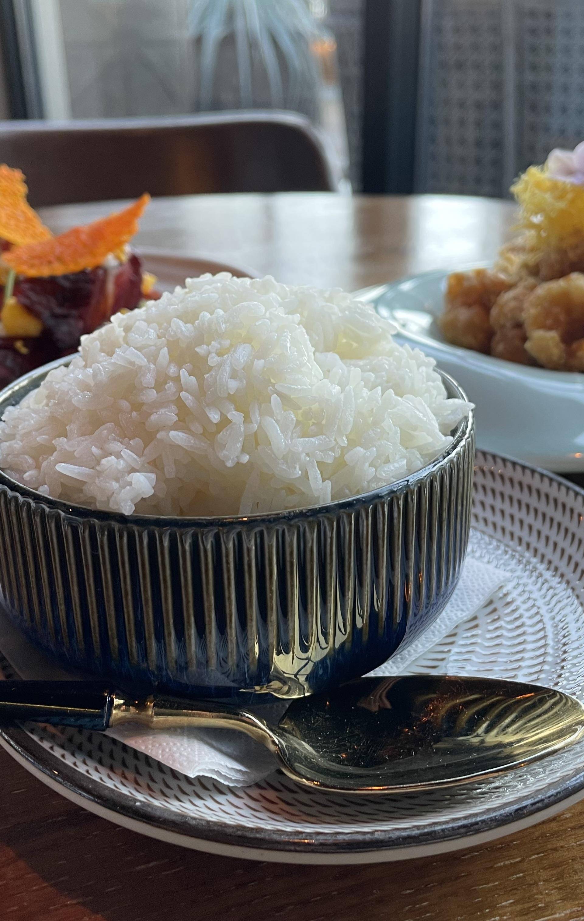 Riz a sushi - Recette Companion XL | Moulinex